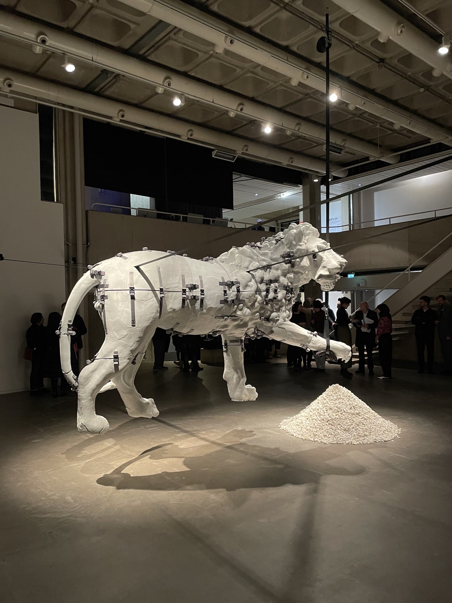 Installation view, Siobhán Hapaska, Medici Lion, The Douglas Hyde Gallery, Dublin, Ireland