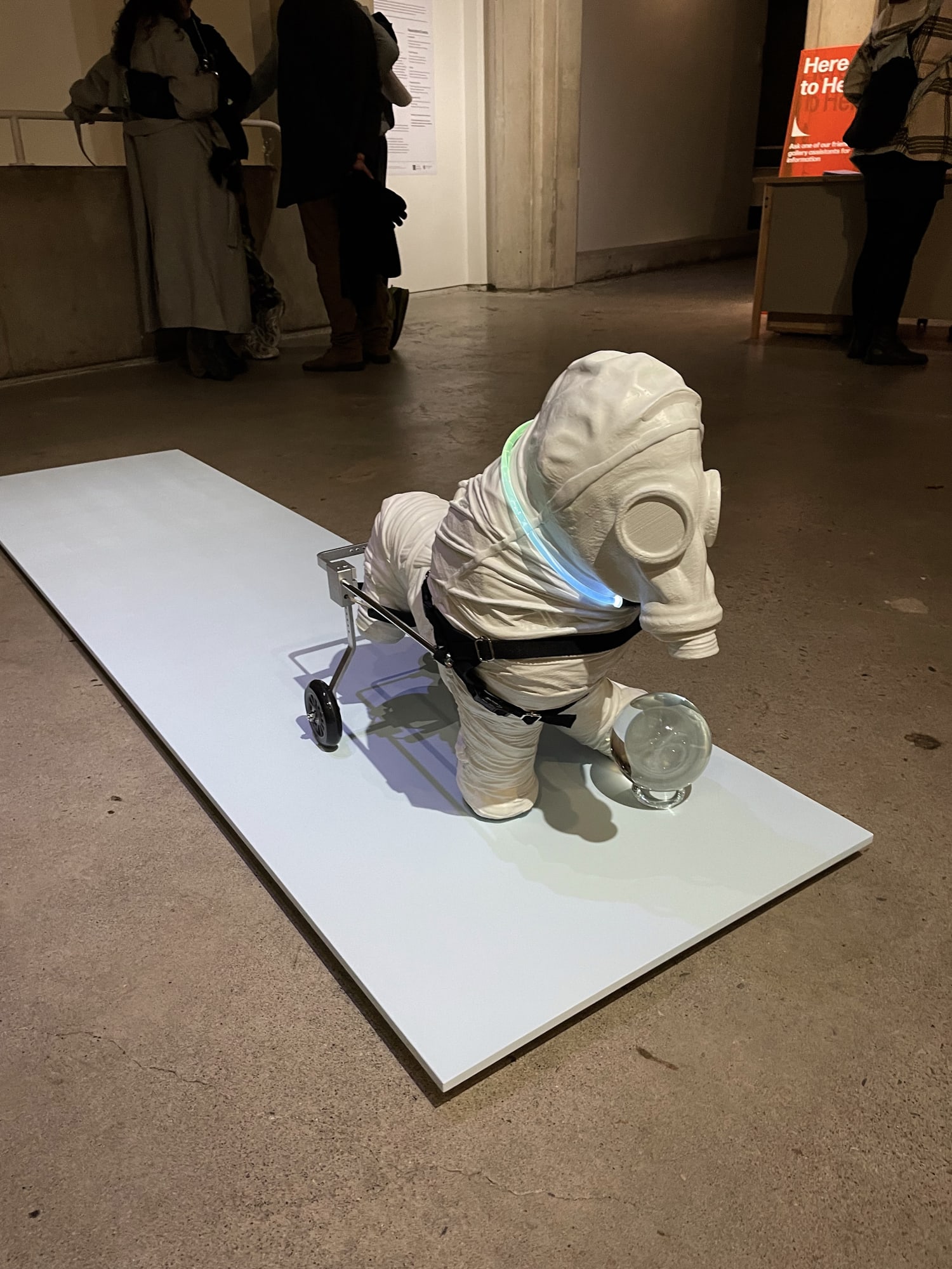 Installation view, Siobhán Hapaska, Medici Lion, The Douglas Hyde Gallery, Dublin, Ireland