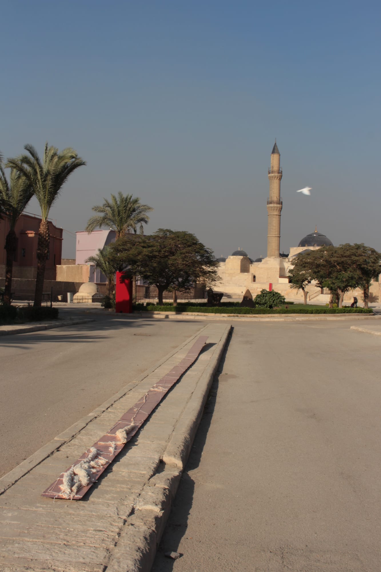 Line of Light, Theresa Traore Dahlberg Cairo Off Biennale, Something Else III
