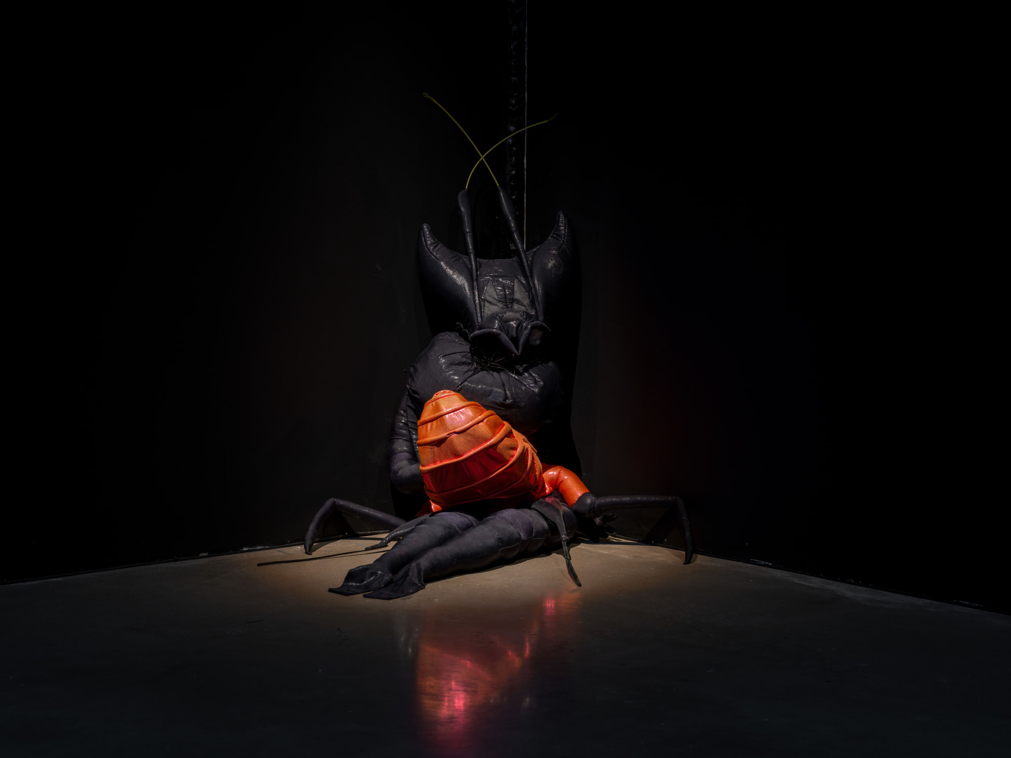 Cecilia Bengolea Installation view, Tension, Please!, Bor&aring;s Konstmuseum, Bor&aring;s, Sweden, 2025.