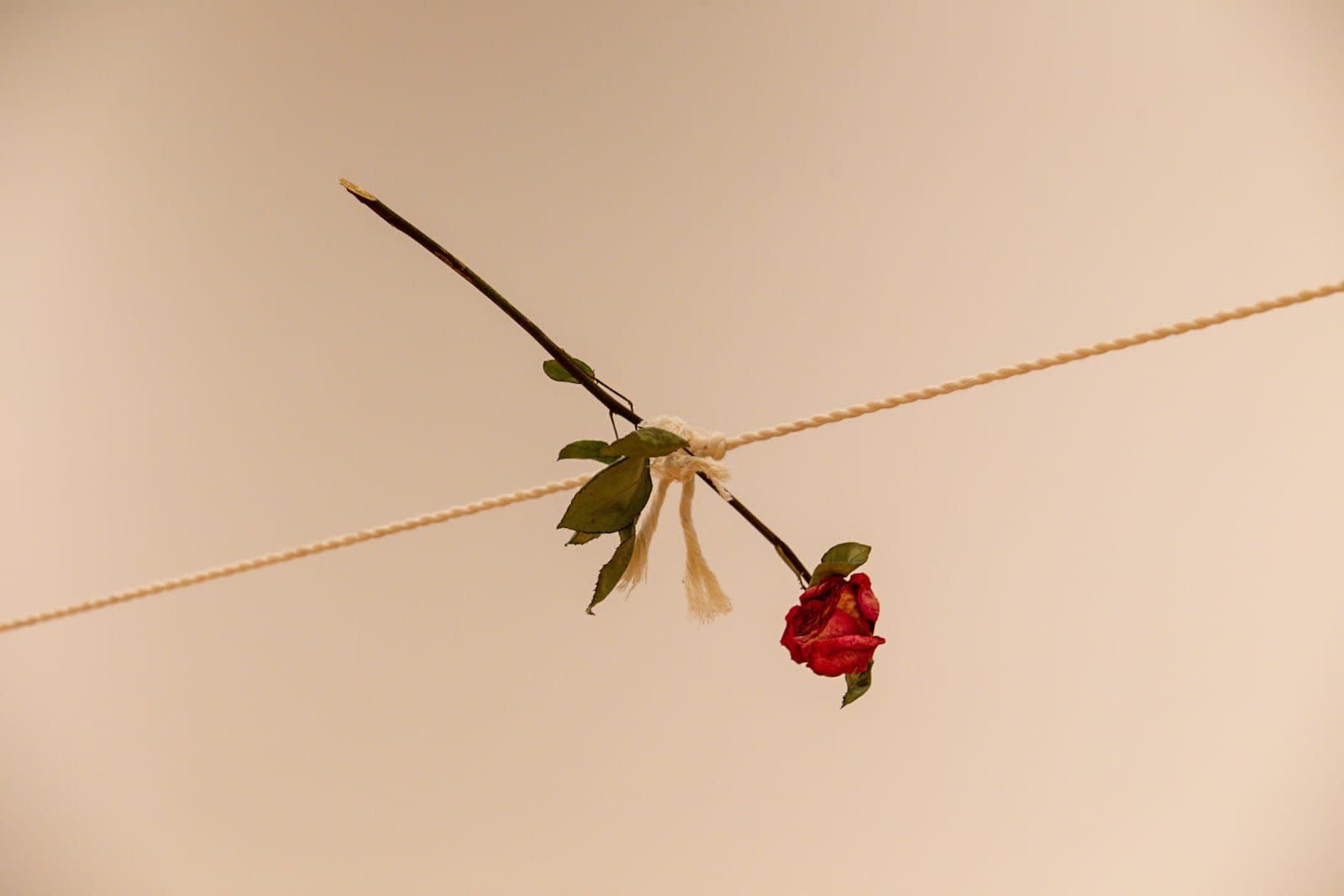 Martín Soto Climent Installation view, El sendero del poeta, The Museum of Mexico City, Mexico.