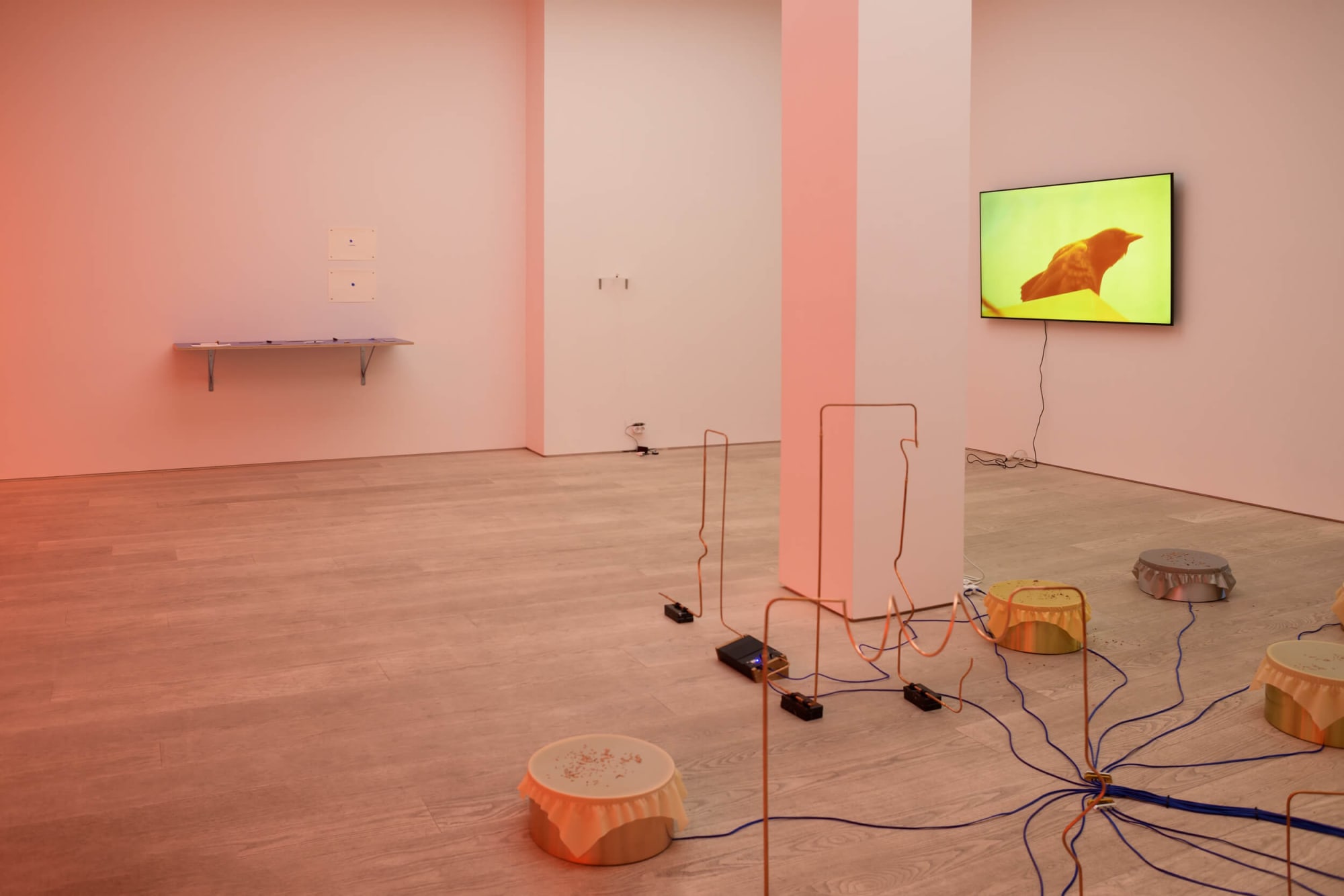 Annika Larsson, STRANGE POWERS, installation view, Andréhn-Schiptjenko, Stockholm, 2023