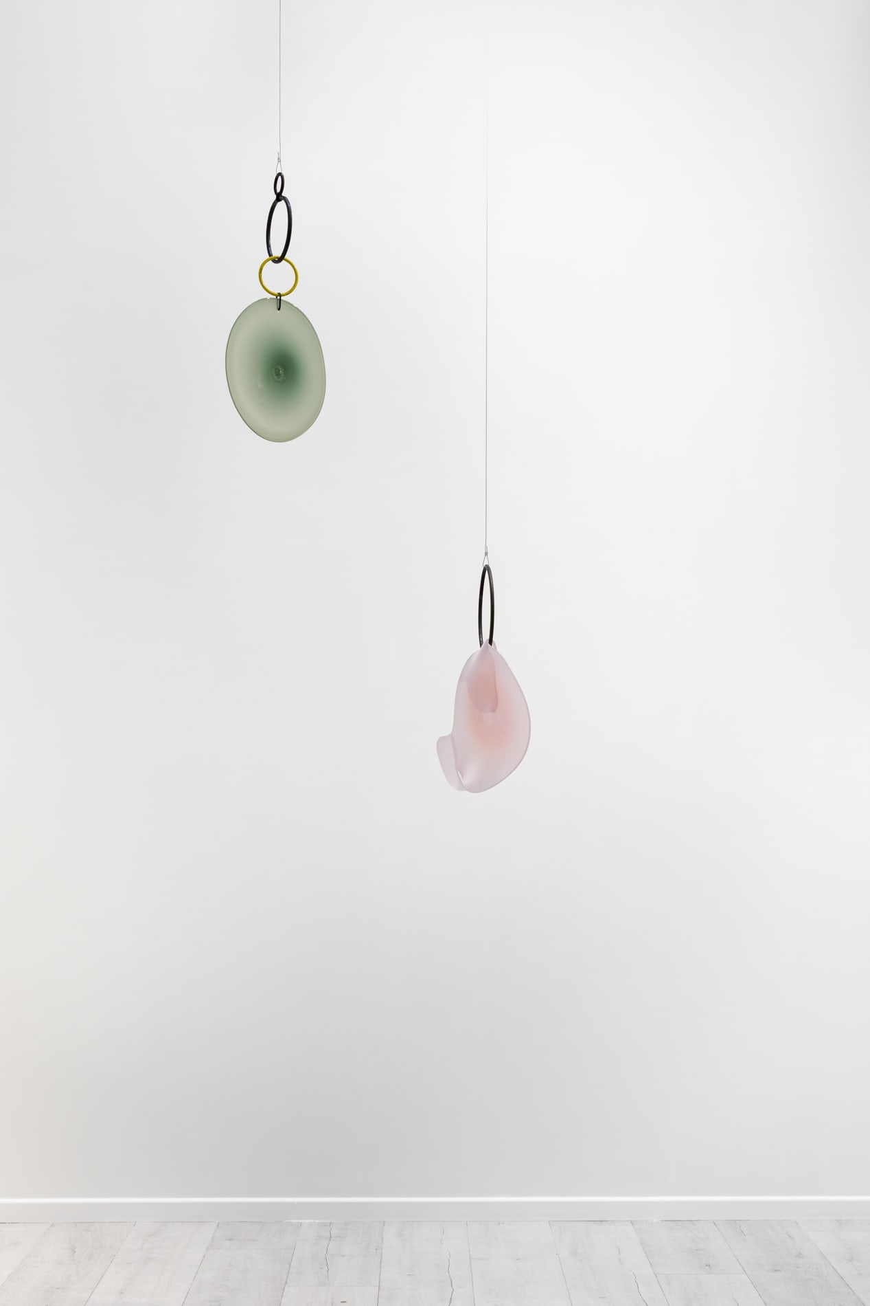 Carin Ellberg Installation view, Coastal settlers and species from the sea, Andréhn-Schiptjenko Paris, 2025.