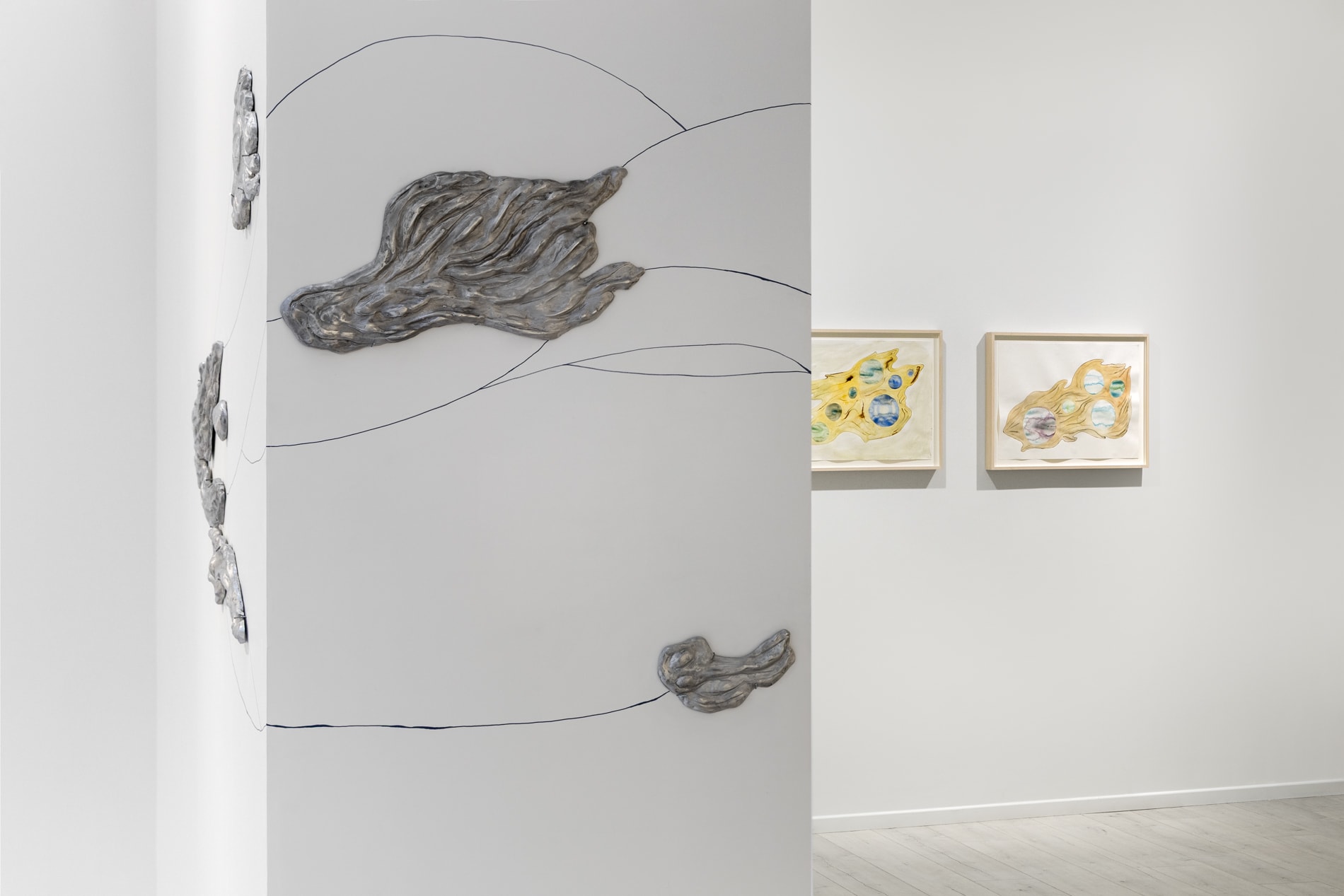 Carin Ellberg Installation view, Coastal settlers and species from the sea, Andréhn-Schiptjenko Paris, 2025.