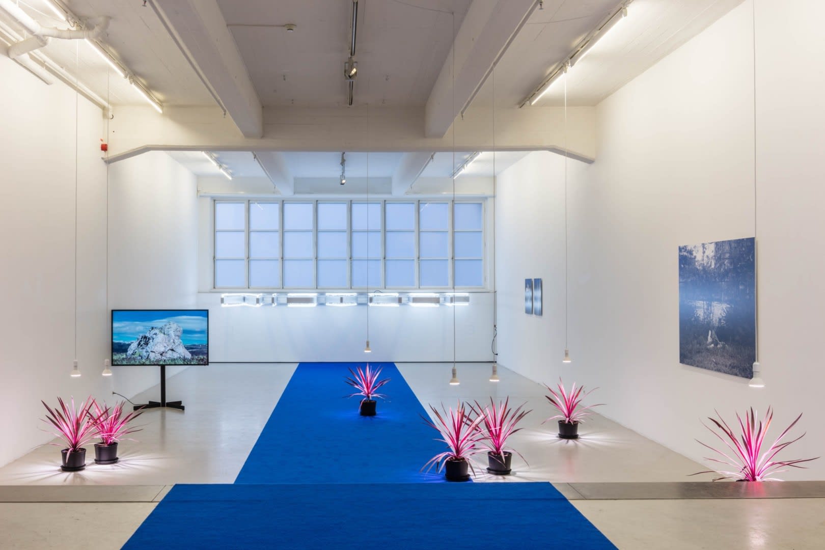 Santiago Mostyn Installation view "The Warming Plateau", Andréhn-Schiptjenko, Stockholm, Sweden, 2018