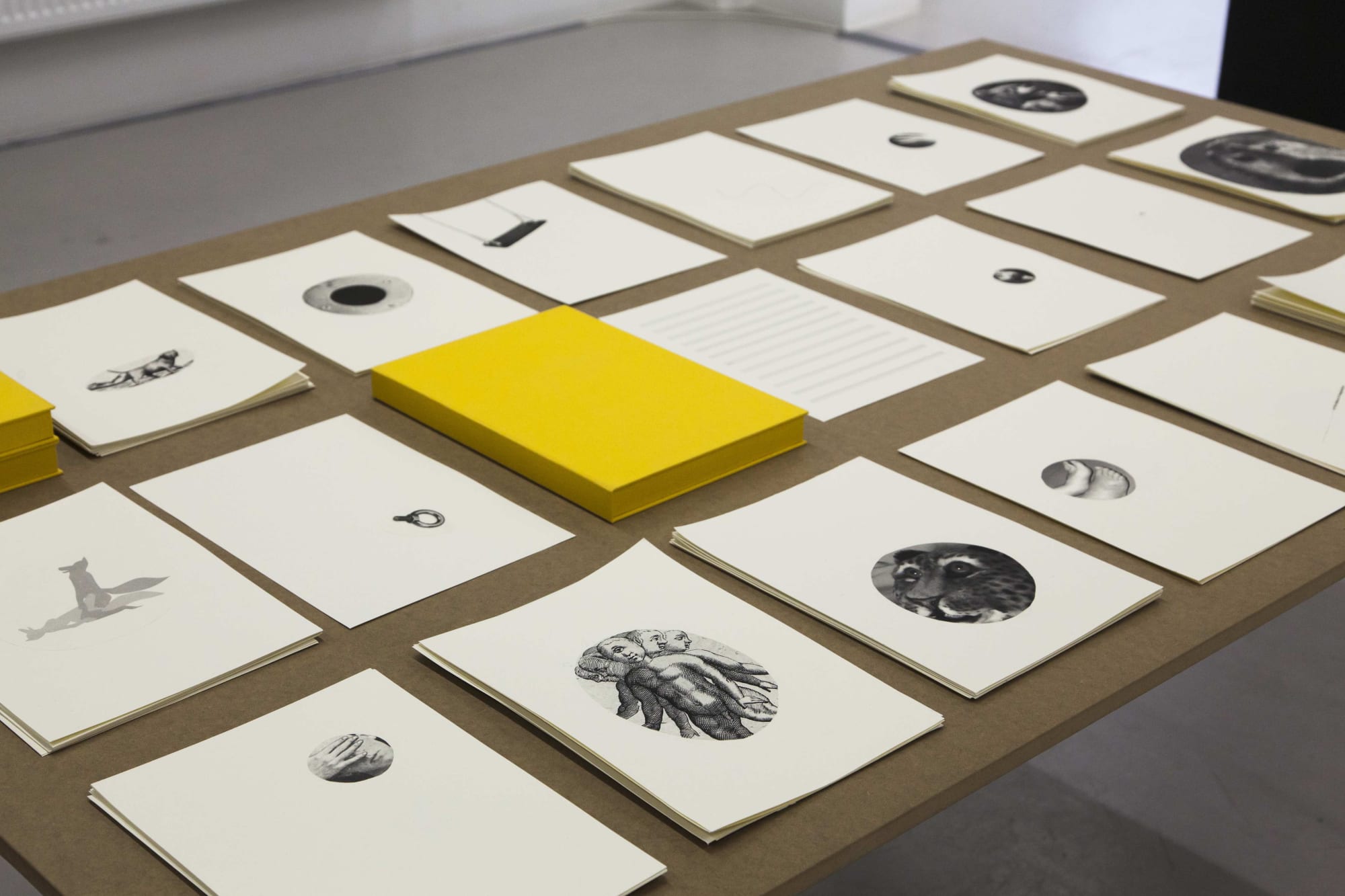 Installation view ANIMAL, Annika Larsson at Andréhn-Schiptjenko, Stockholm, Sweden, 2012