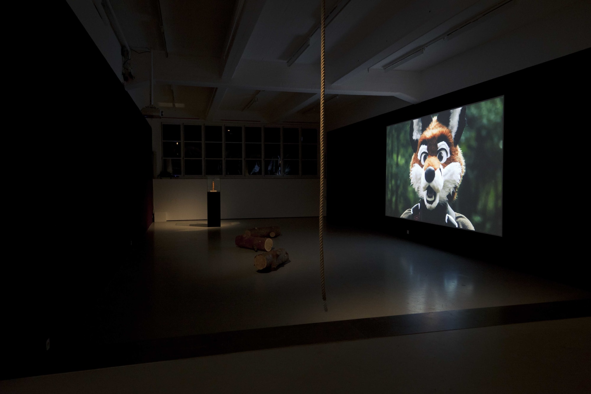 Installation view ANIMAL, Annika Larsson at Andréhn-Schiptjenko, Stockholm, Sweden, 2012