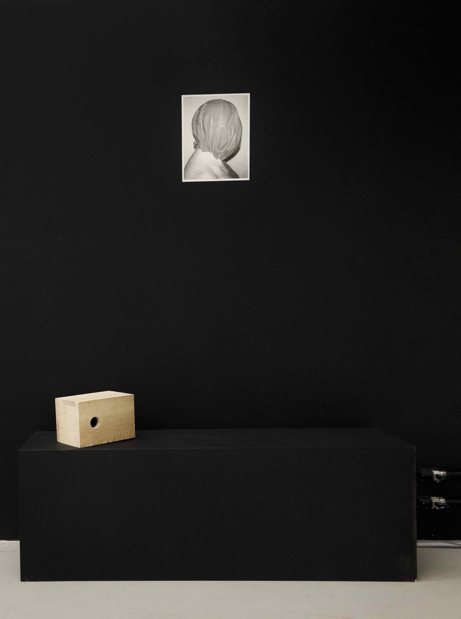 Installation view ANIMAL, Annika Larsson at Andréhn-Schiptjenko, Stockholm, Sweden, 2012