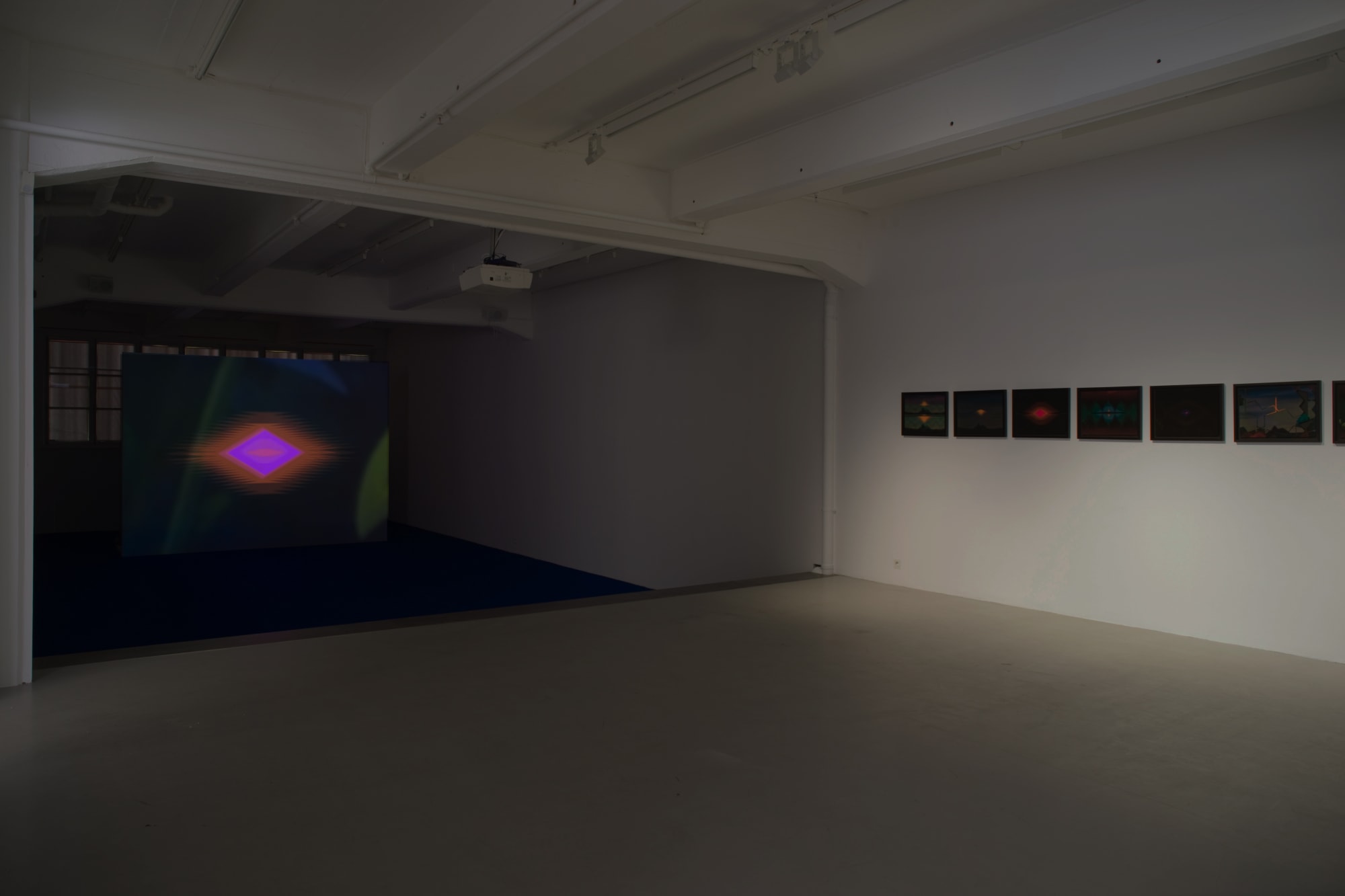 Katarina Löfström Installation view, Andréhn-Schiptjenko, Stockholm, Sweden, 2013