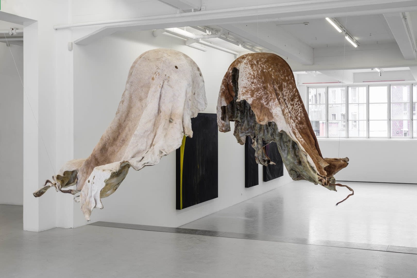 Nandipha Mntambo Installation view, Andréhn-Schiptjenko, Stockholm, Sweden 2015