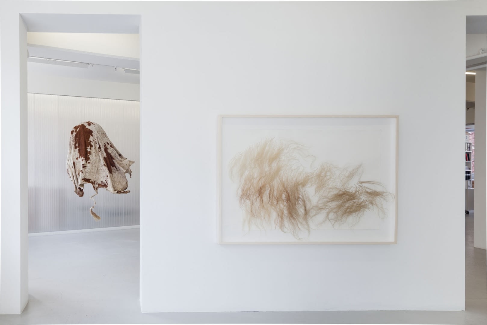 Nandipha Mntambo Installation view, Andréhn-Schiptjenko, Stockholm, Sweden, 2013