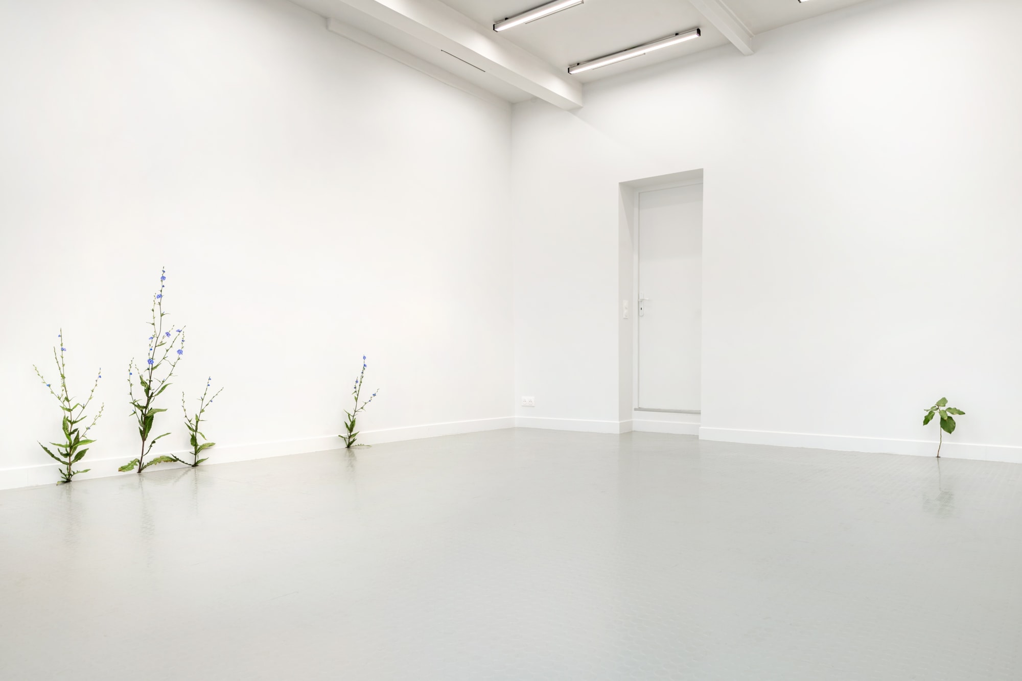 Installation view, Tony Matelli, at Andréhn-Schiptjenko, Paris, 2020. © C. Maignien