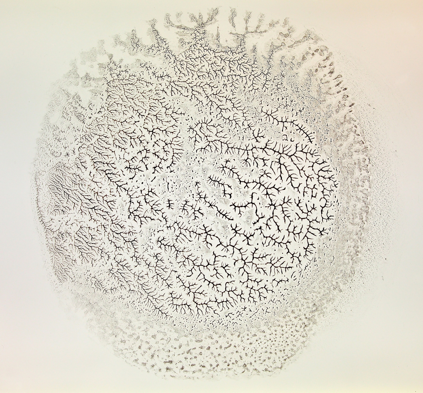 © Kiyotaka Morooka #010, Series of “Fotosynthesis”