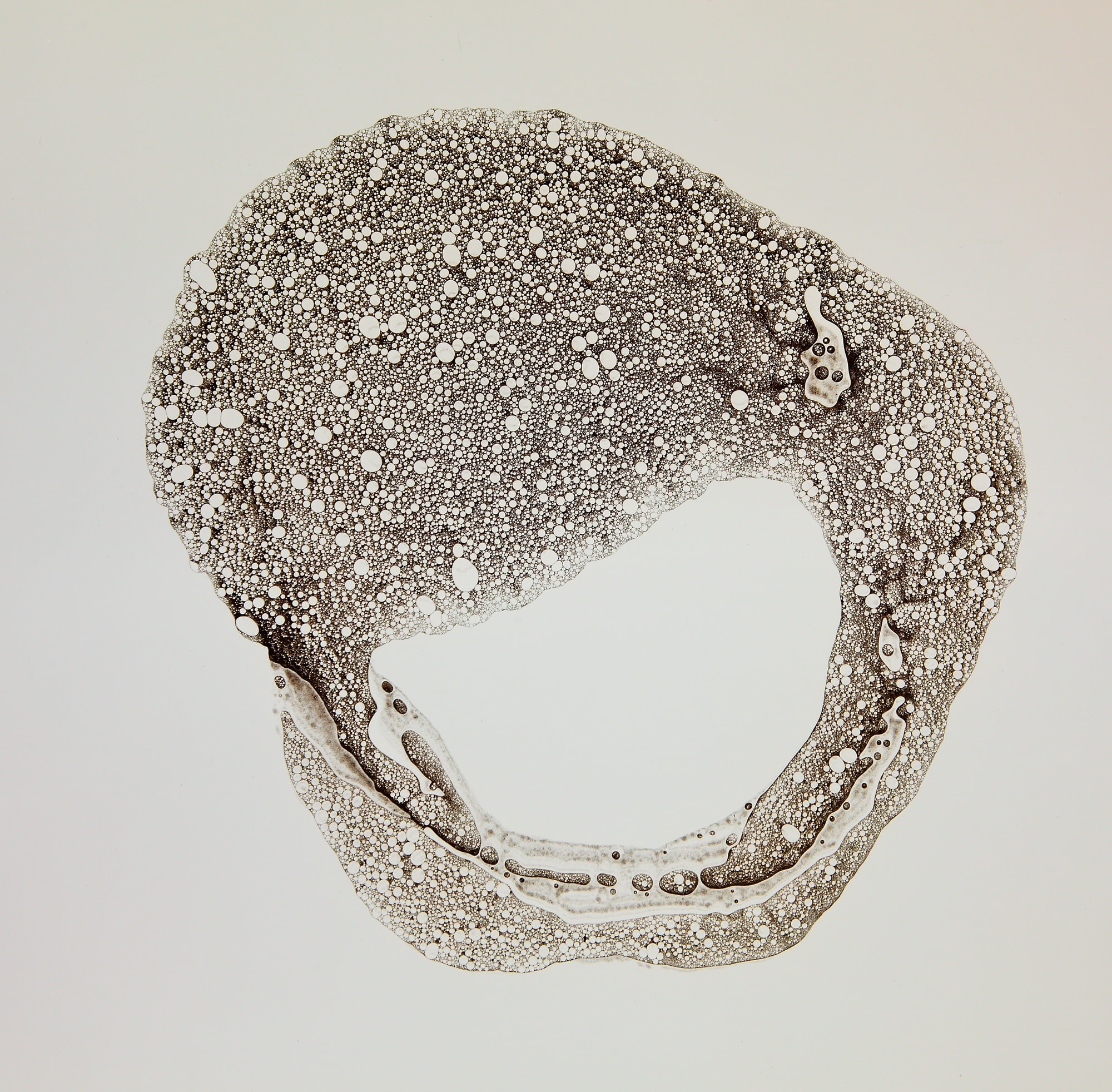 © Kiyotaka Morooka #S02, Series of “Fotosynthesis”