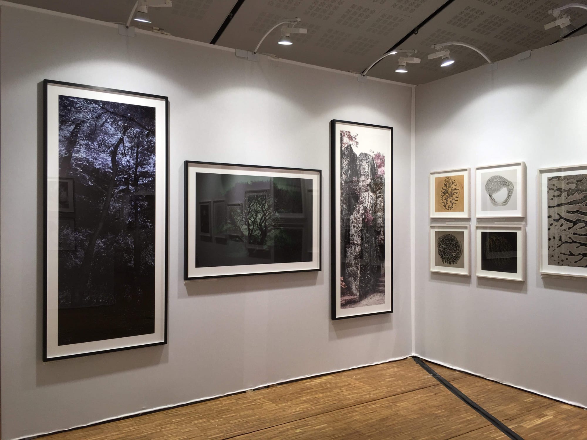 Fotofever Paris, 2018