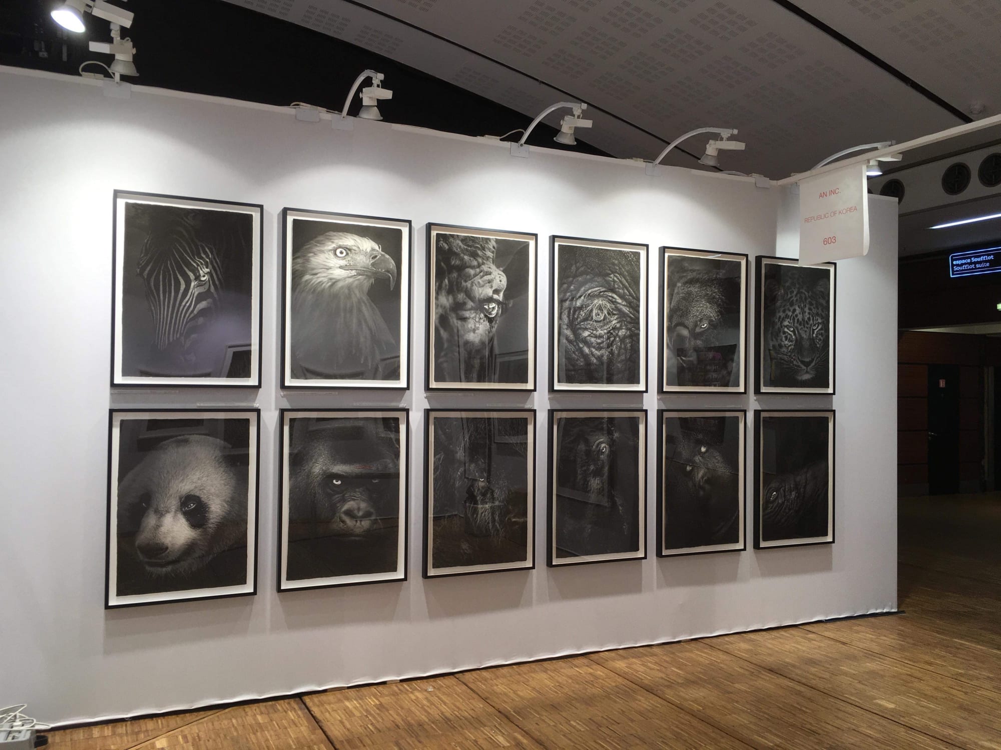 Fotofever Paris, 2018