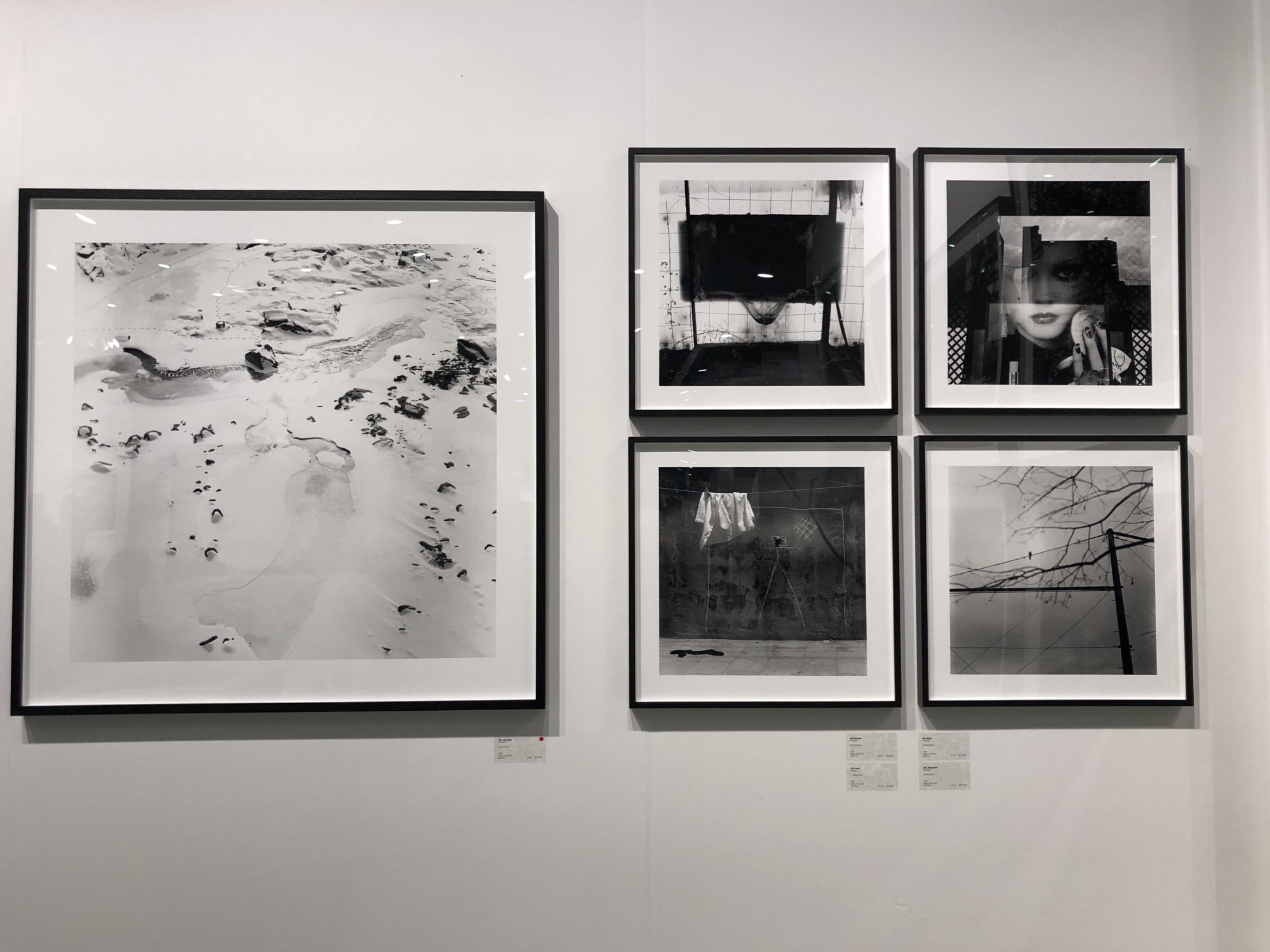 Photo L.A. 2019