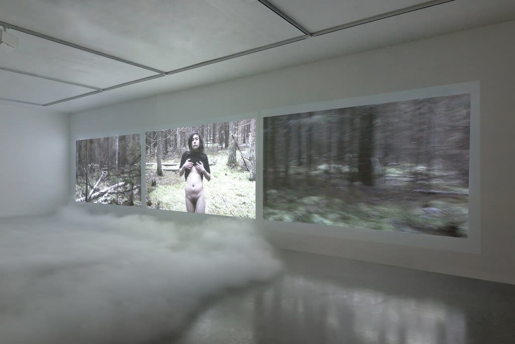 Marchantia Polymorpha: Up Close and Personal