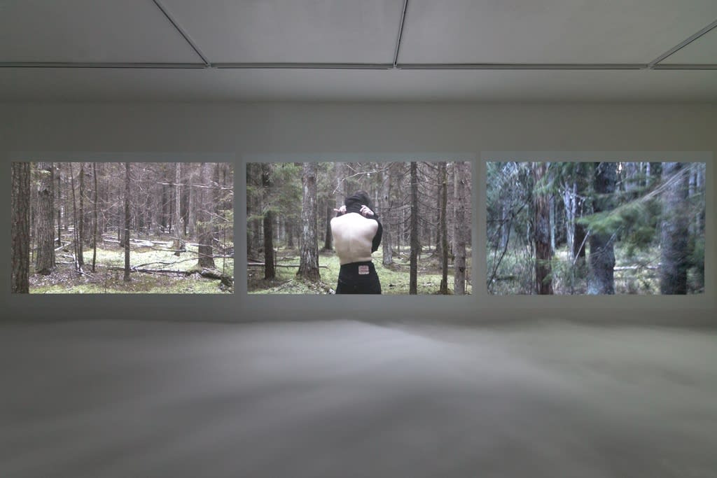 MARCHANTIA POLYMORPHA: ПРИ МАКСИМАЛЬНОМ ПРИБЛИЖЕНИИ