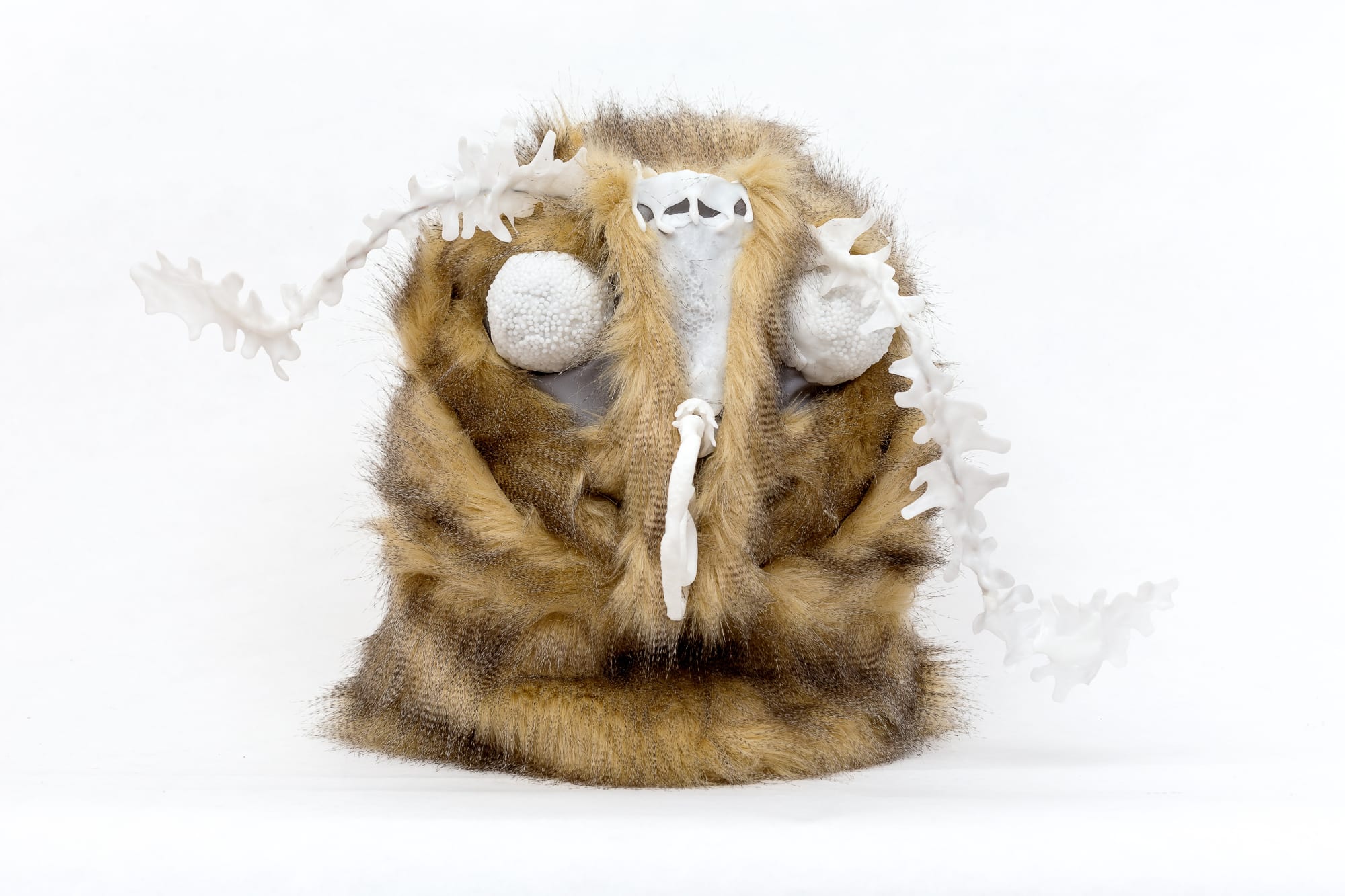 The moth and the bat flying to the light