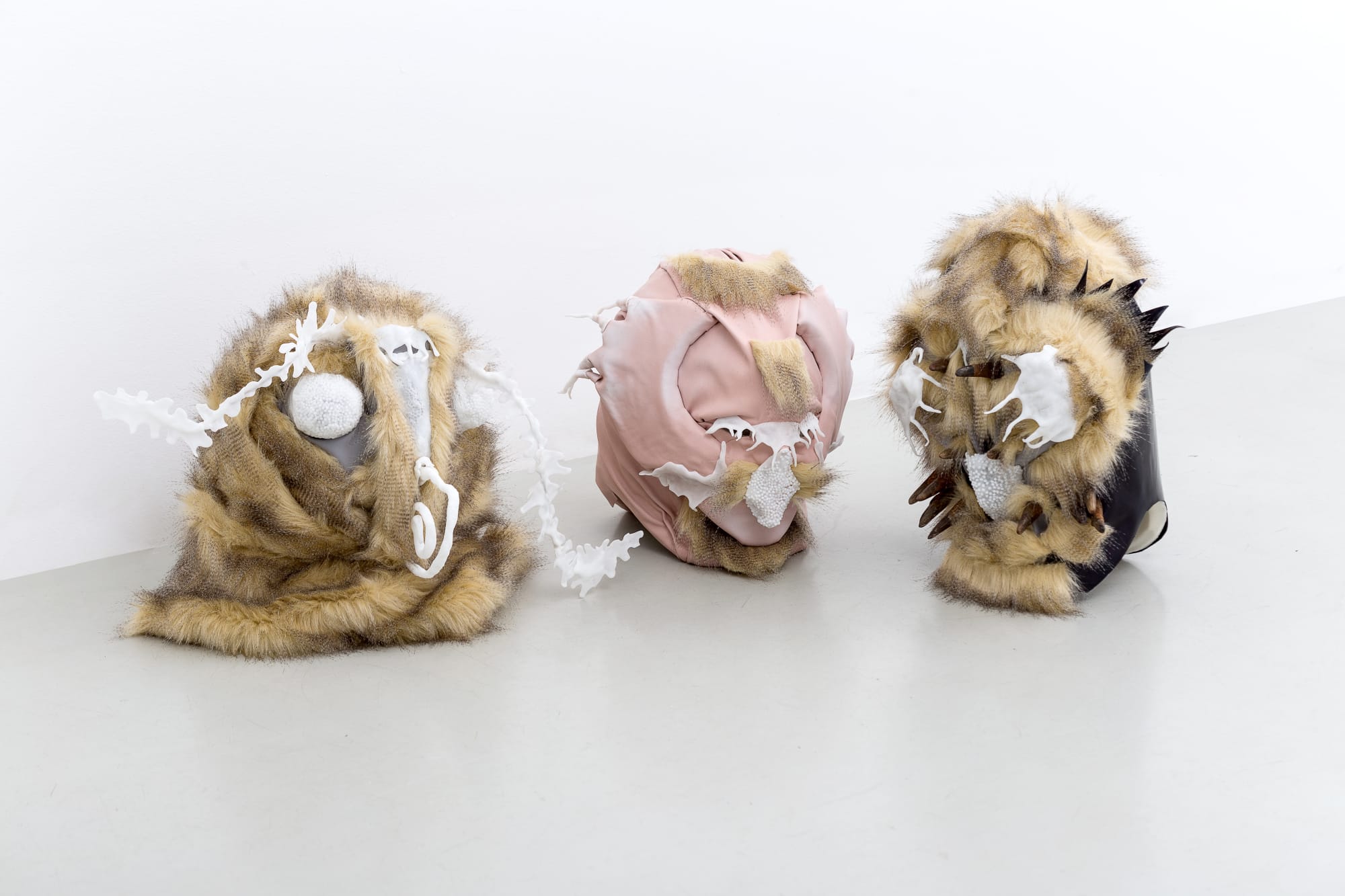 The moth and the bat flying to the light