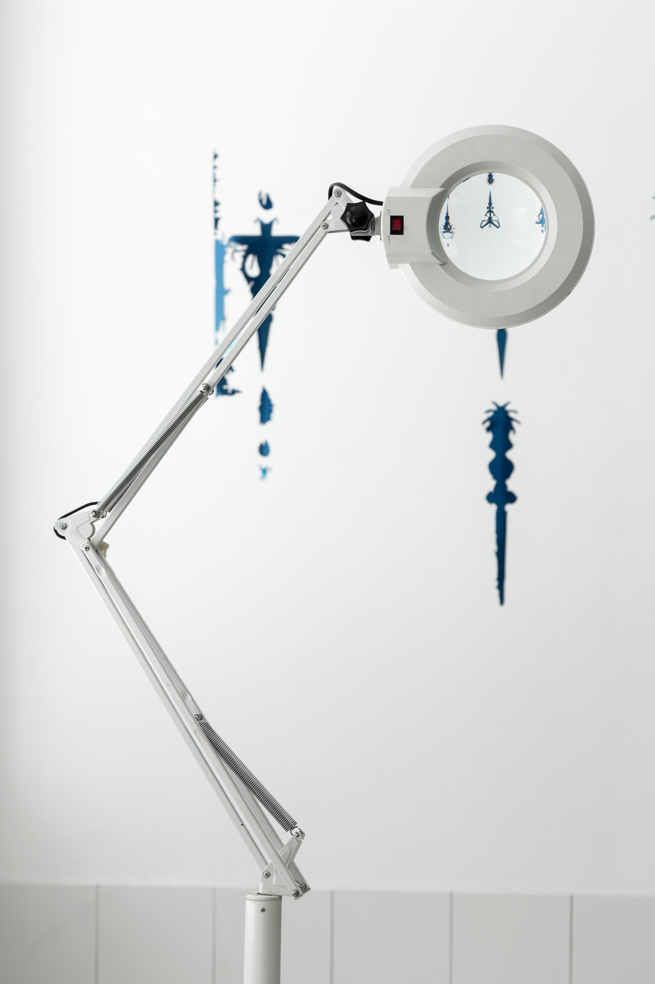 The moth and the bat flying to the light