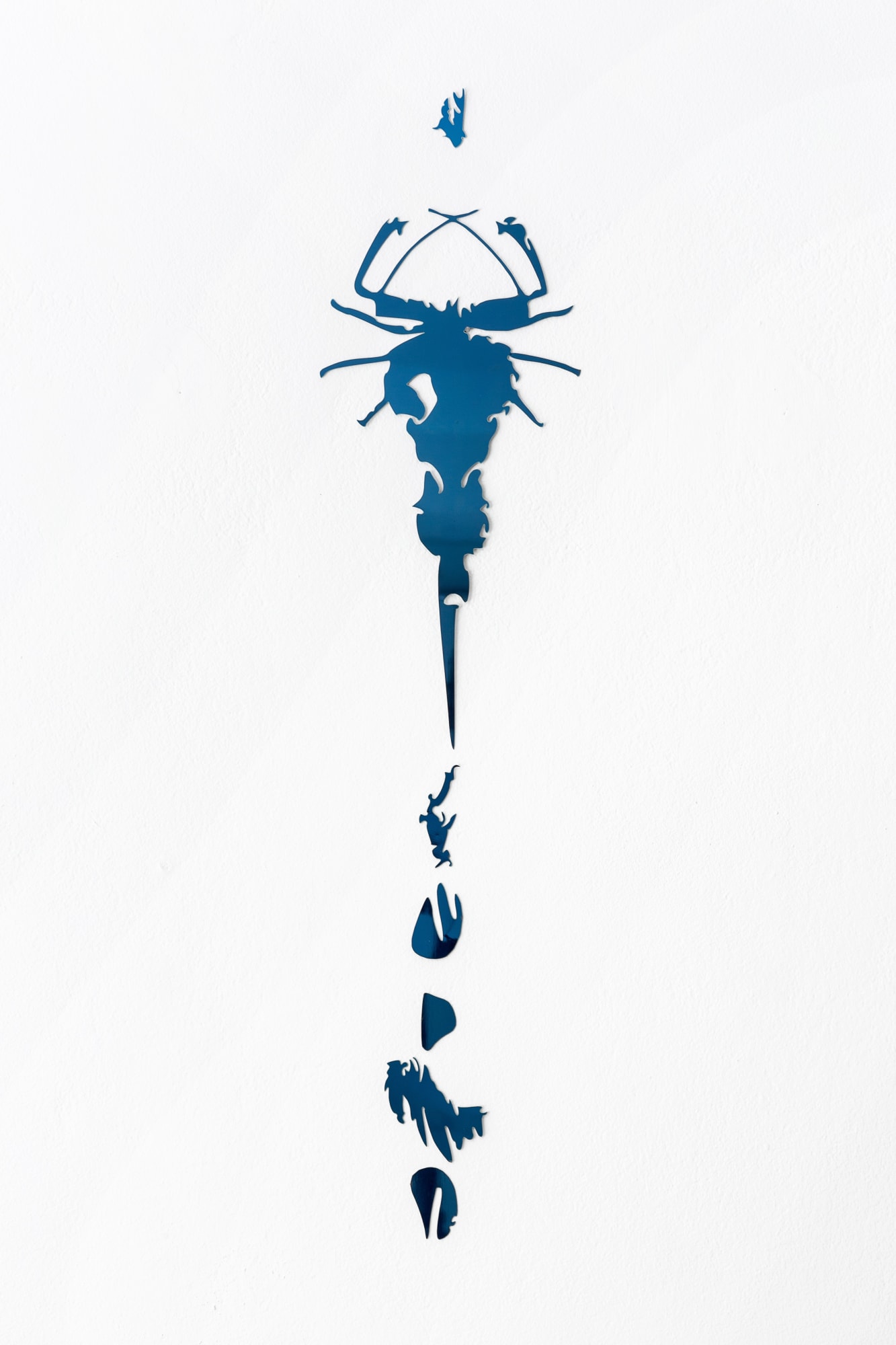 Мотылёк и летучая мышь летят на свет