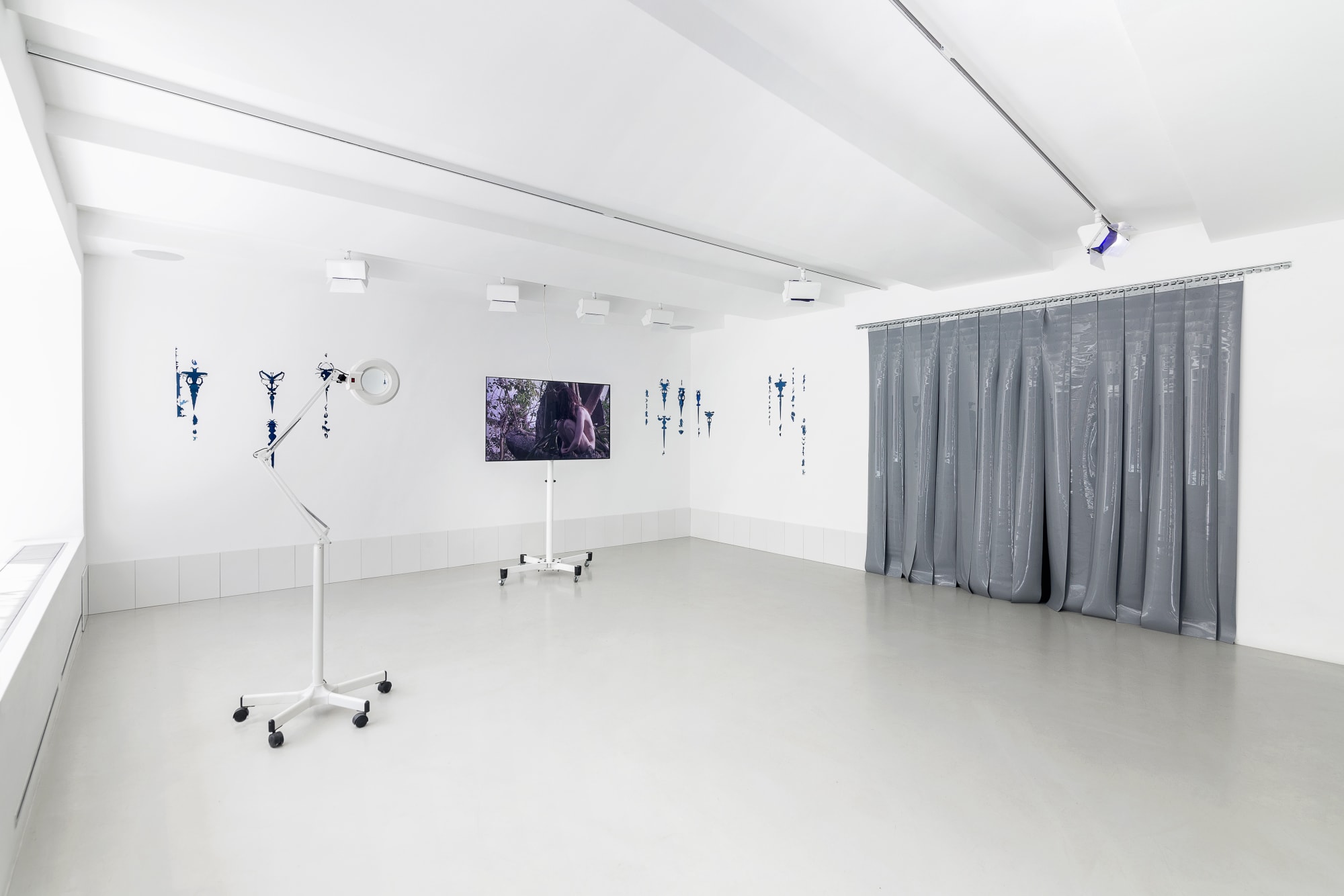 The moth and the bat flying to the light