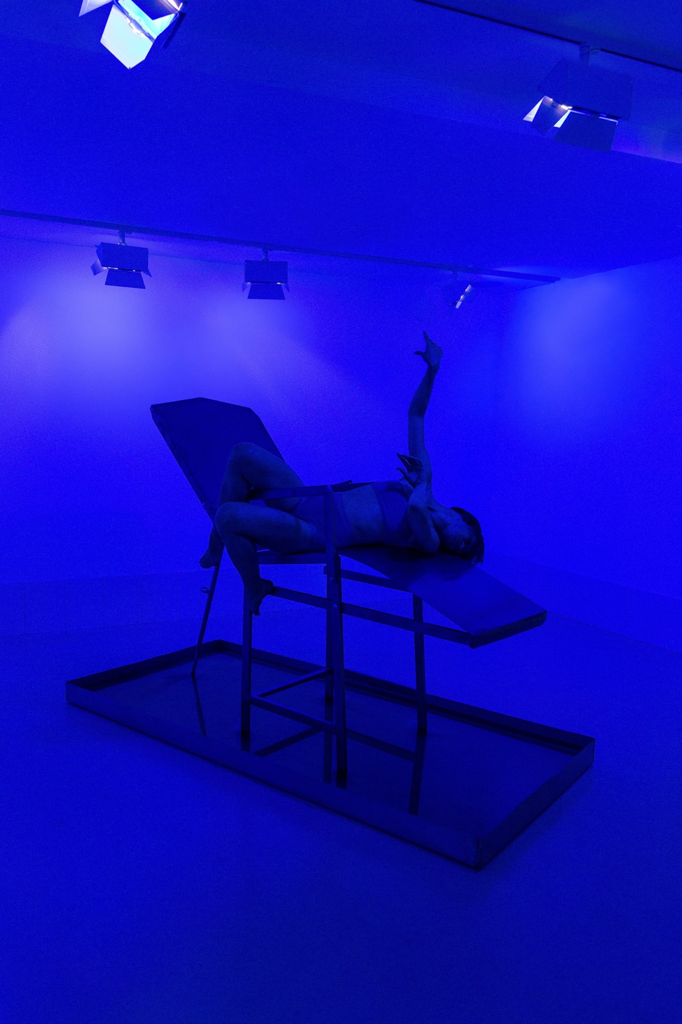 The moth and the bat flying to the light