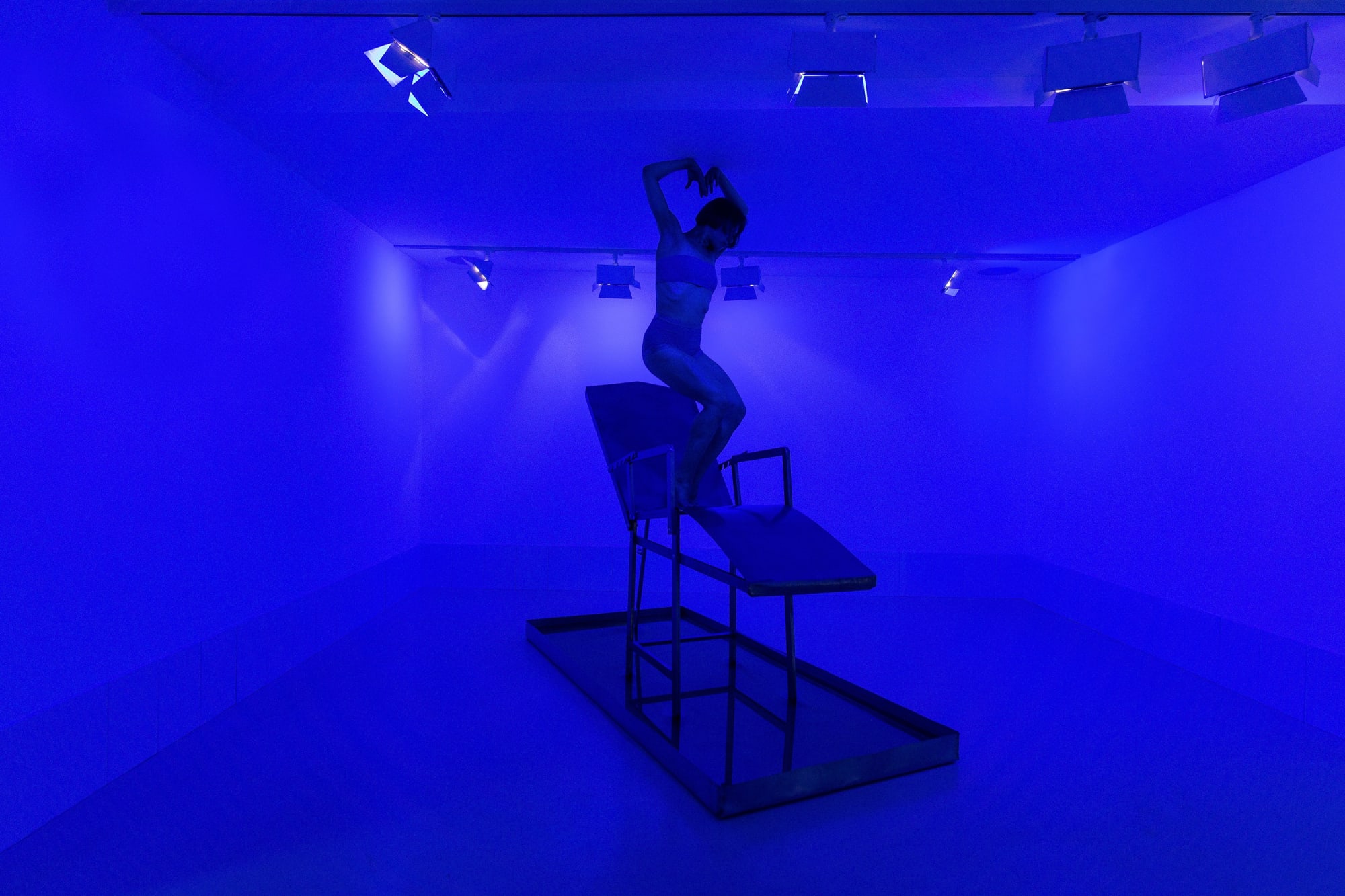 The moth and the bat flying to the light