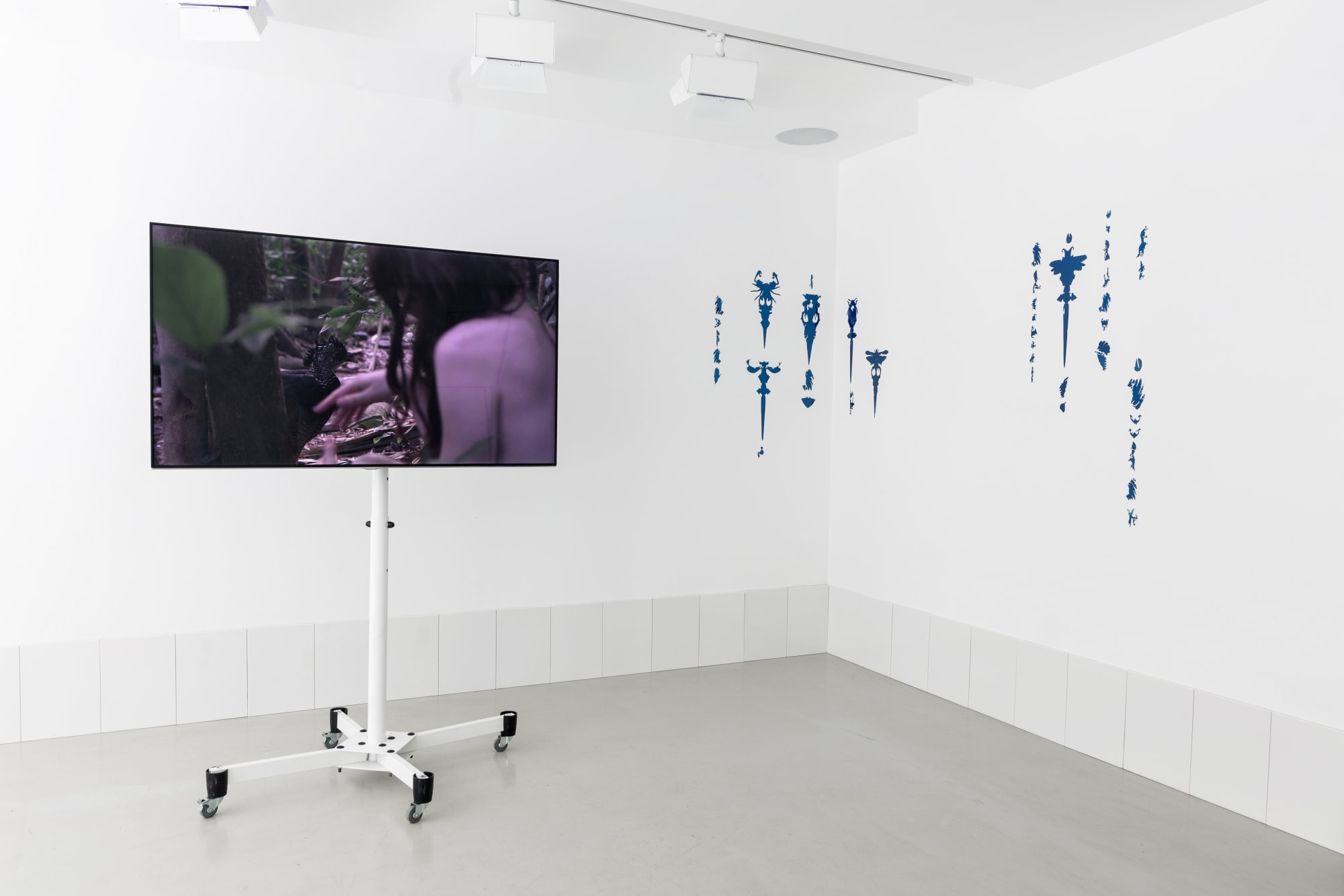 Мотылёк и летучая мышь летят на свет