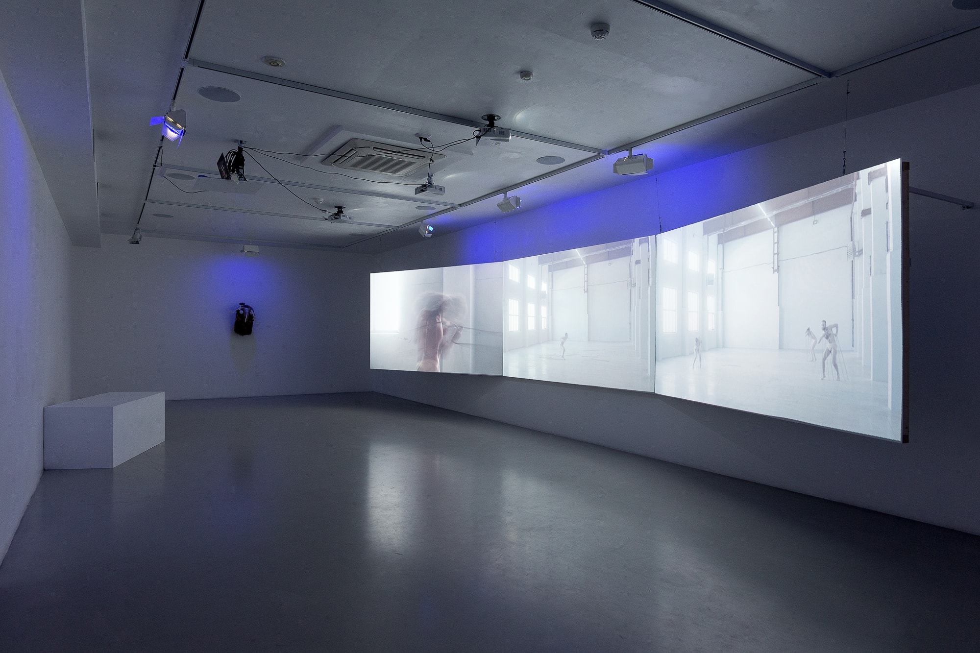 The moth and the bat flying to the light