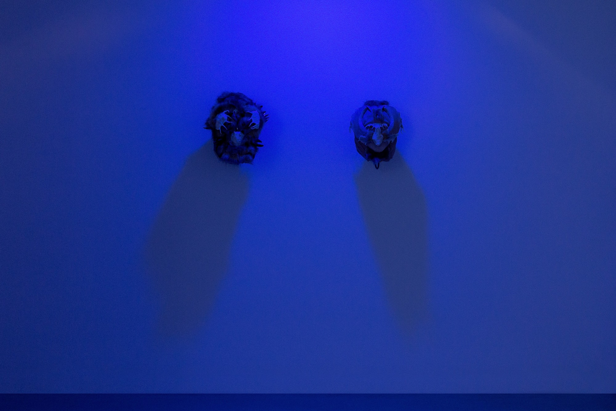 The moth and the bat flying to the light