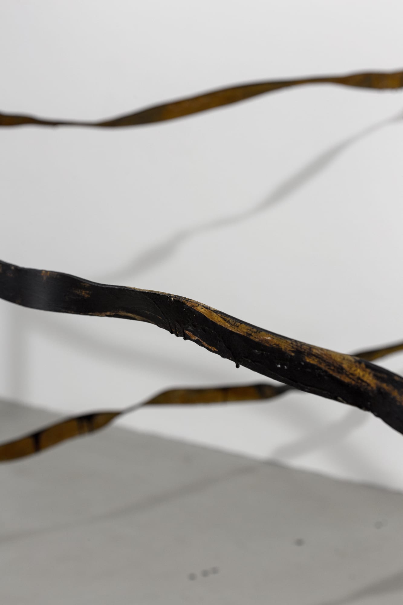 Лес паутины