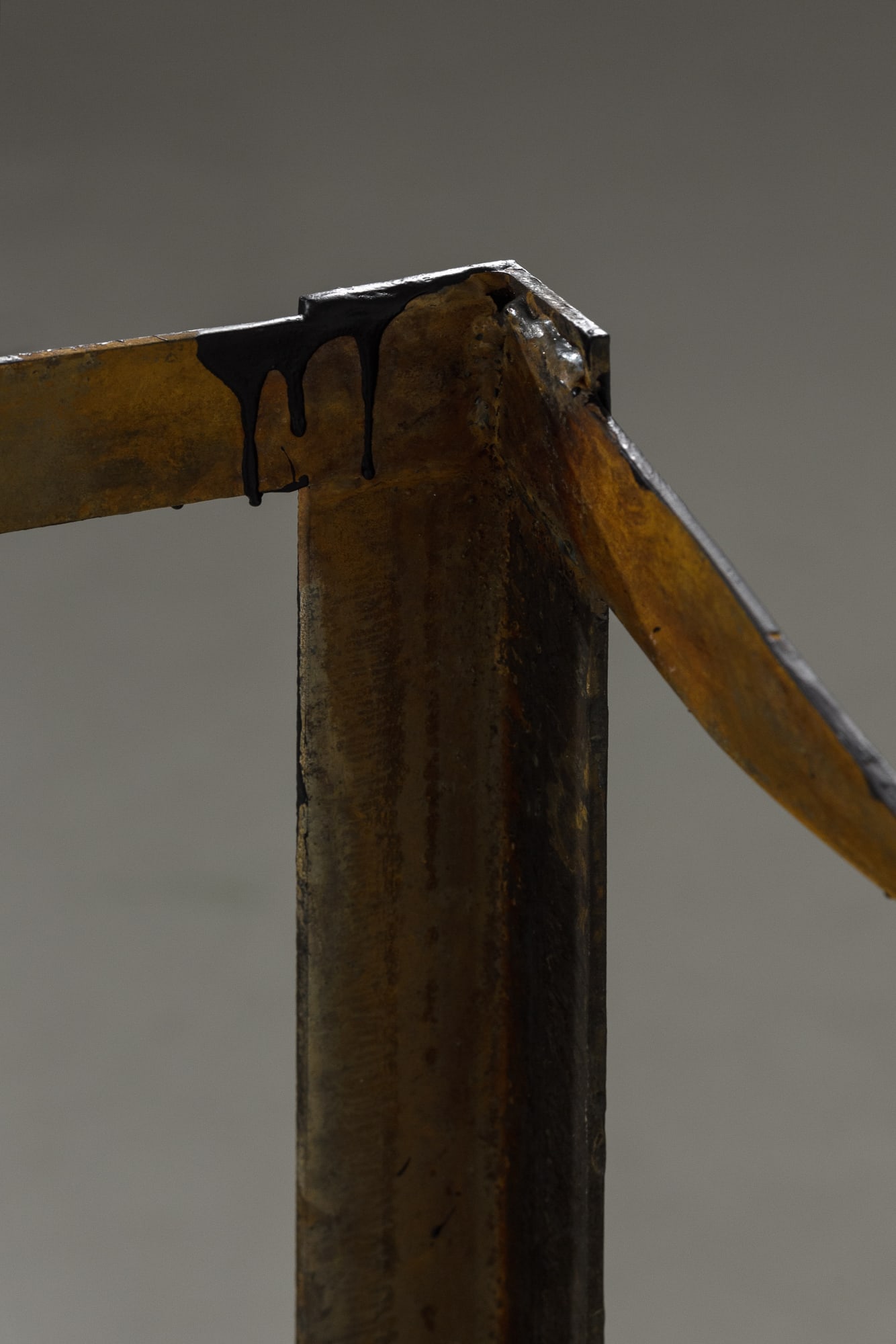 Лес паутины