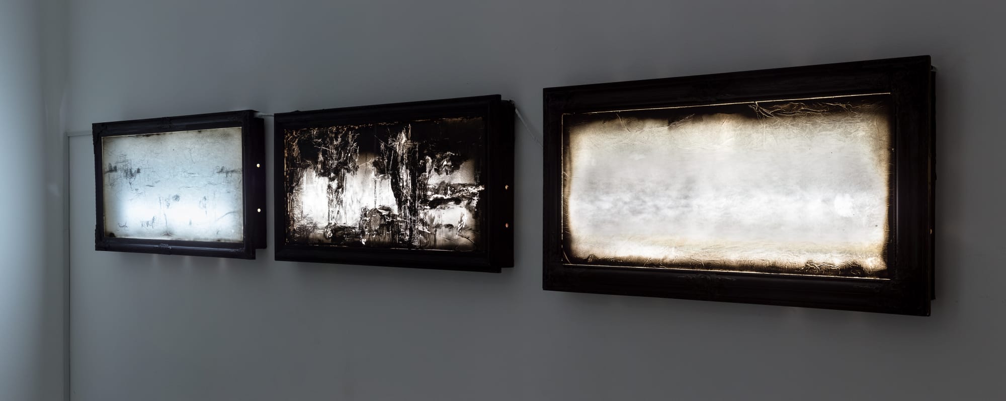 Лес паутины