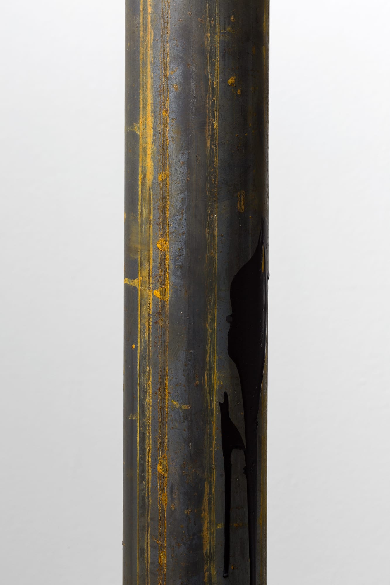 Лес паутины