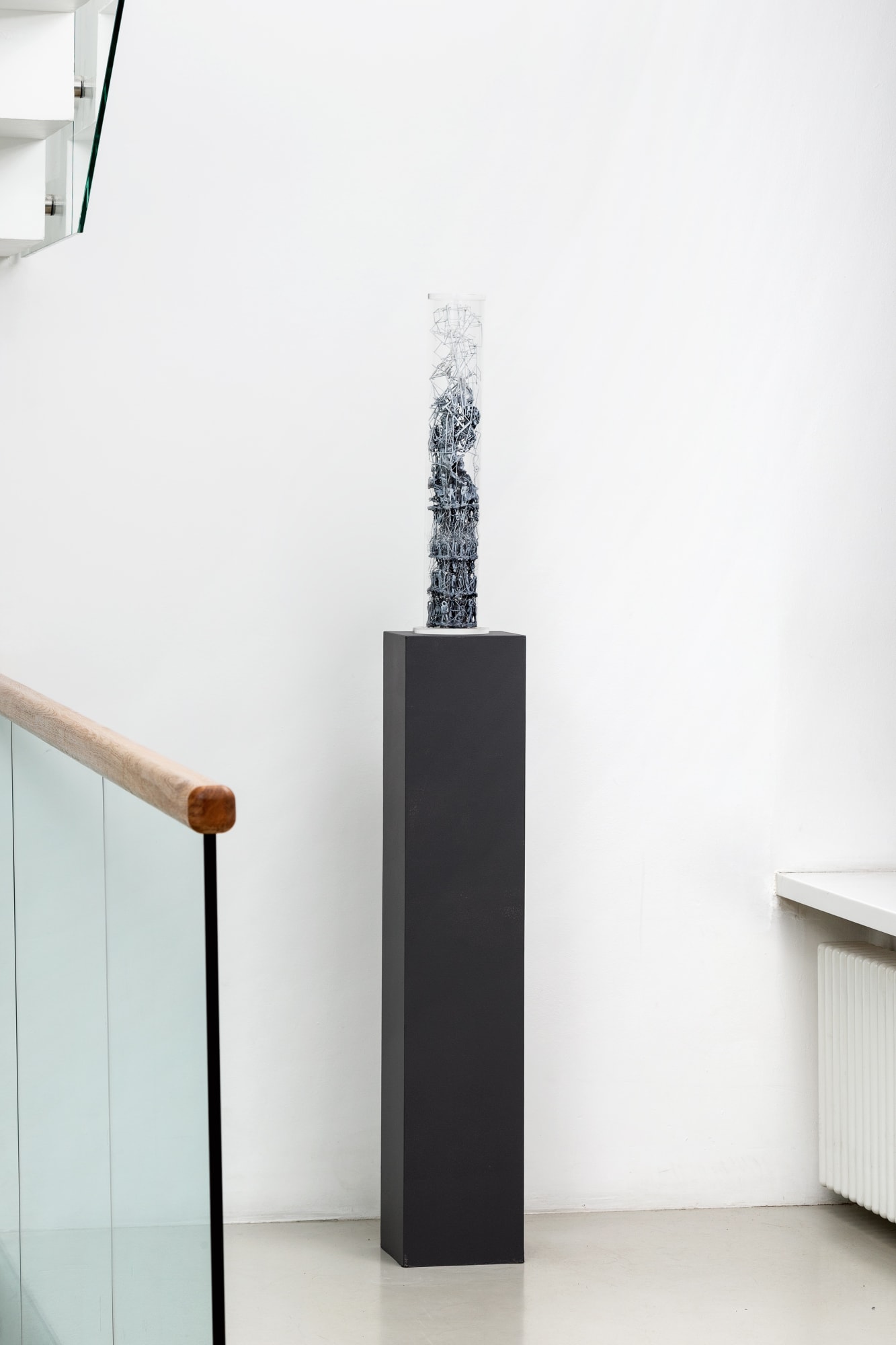 INNER LANDSCAPE MEMBRANES