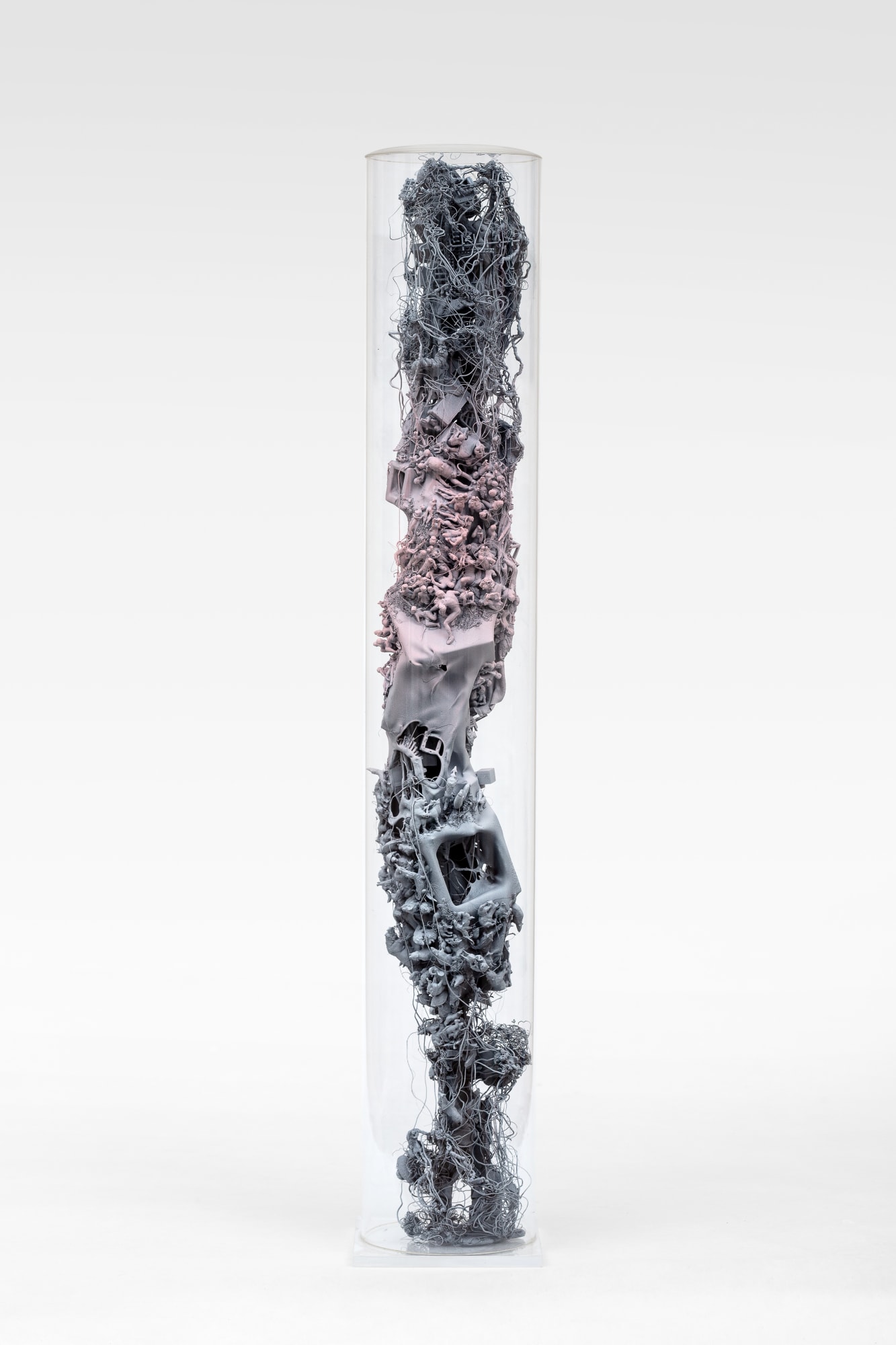 INNER LANDSCAPE MEMBRANES