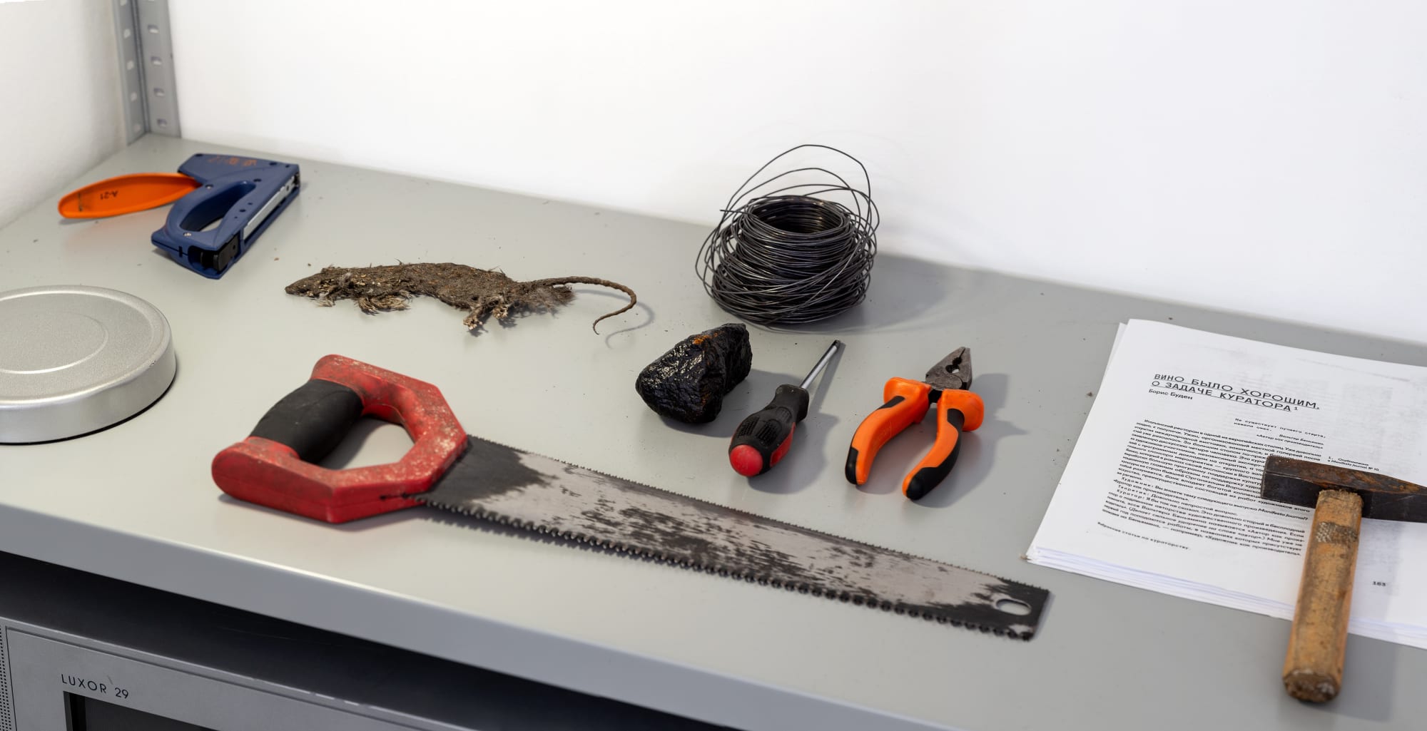 'Do not look at me like that curator'