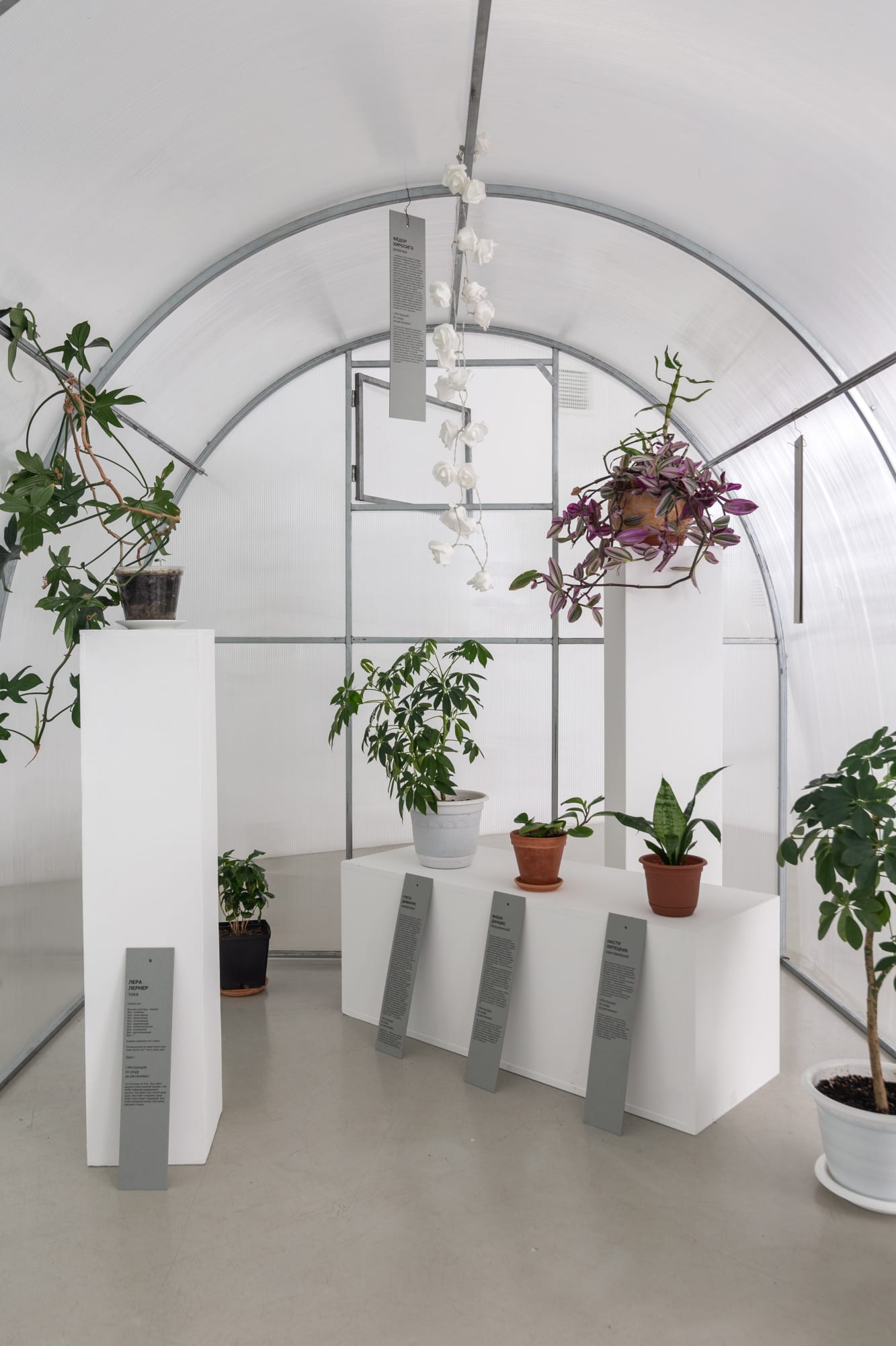 НЕ СМОТРИ НА МЕНЯ ТАК КУРАТОР