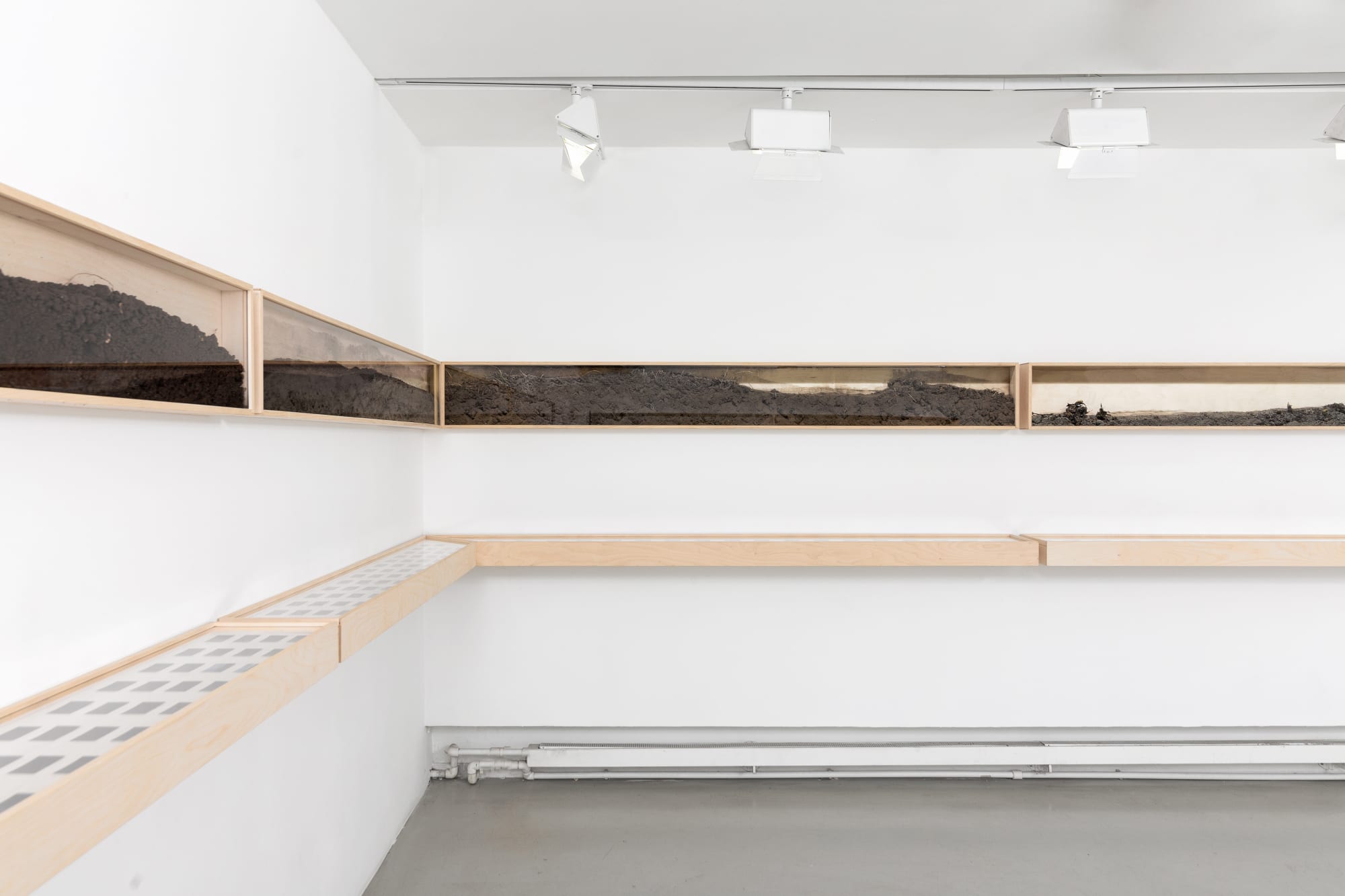 Время земли