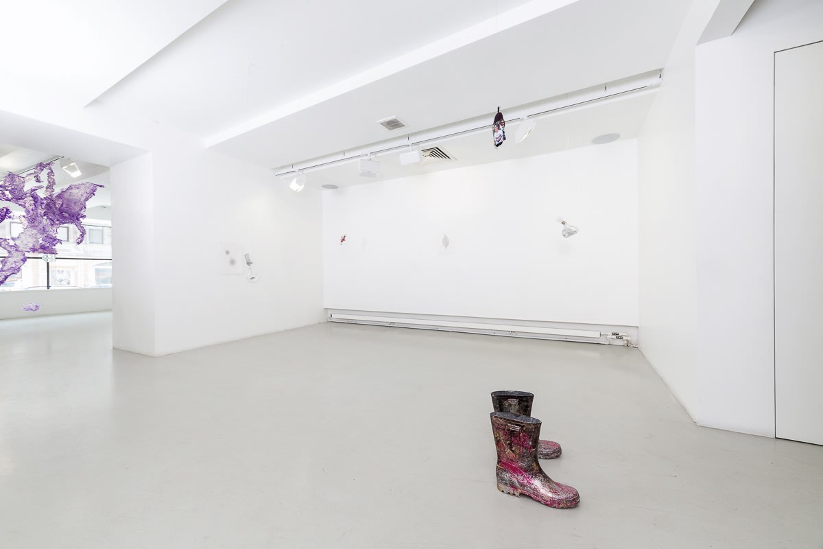 The Stardust project