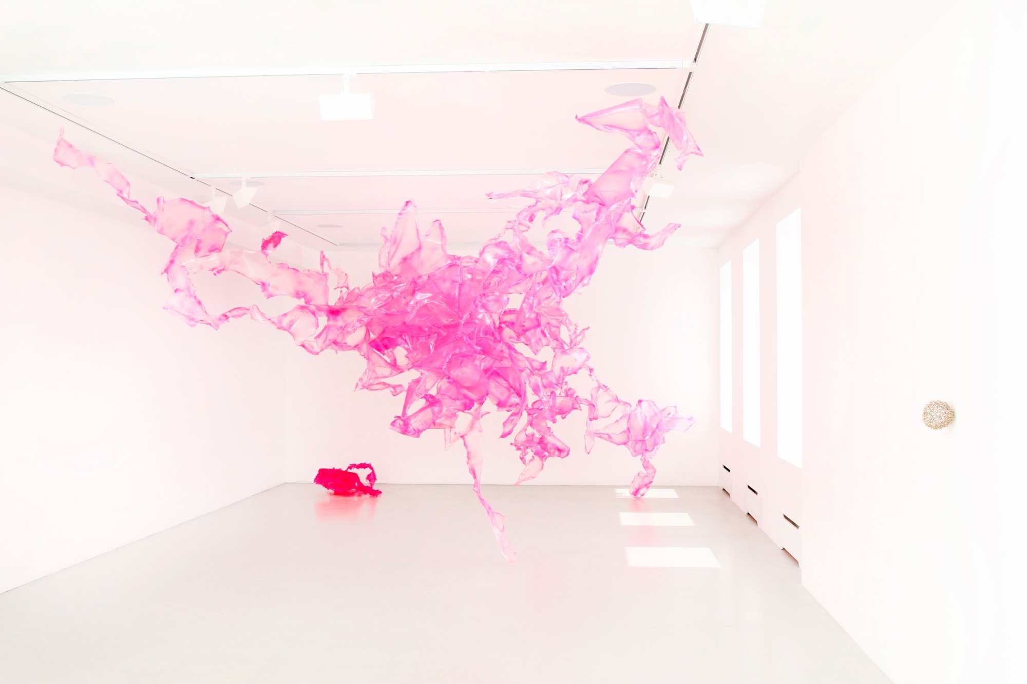 Lotophagie / Lotus-eaters