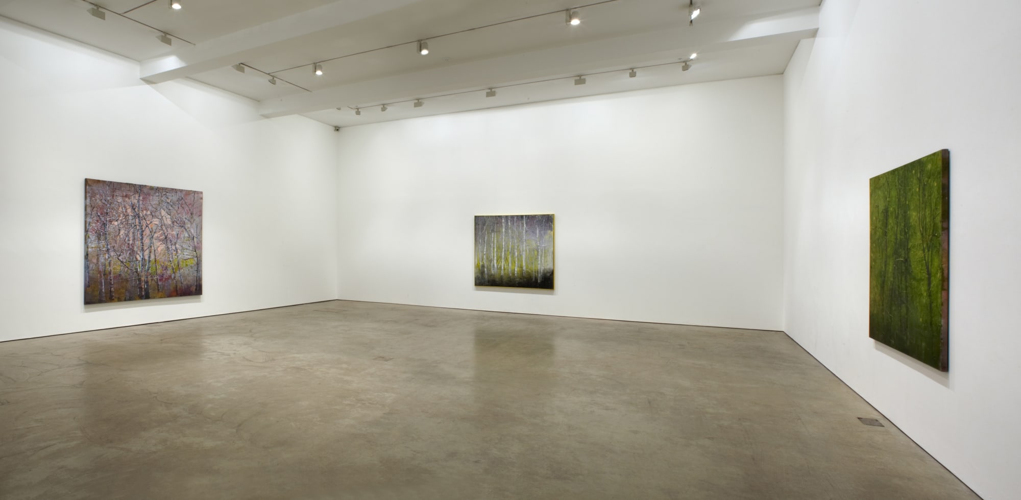 ELIZABETH MAGILL - Quasi-Real & Branch-Like