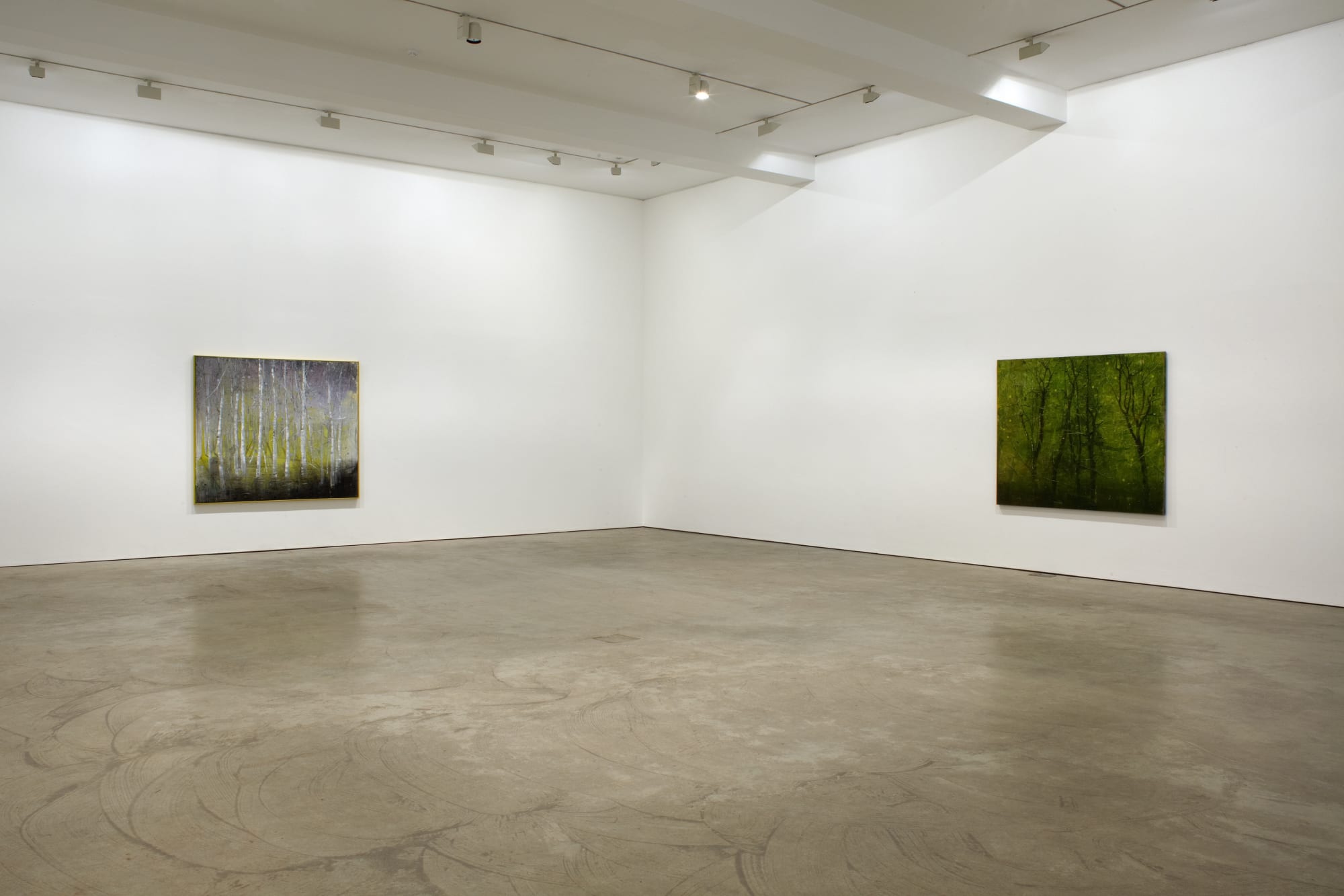 ELIZABETH MAGILL - Quasi-Real & Branch-Like