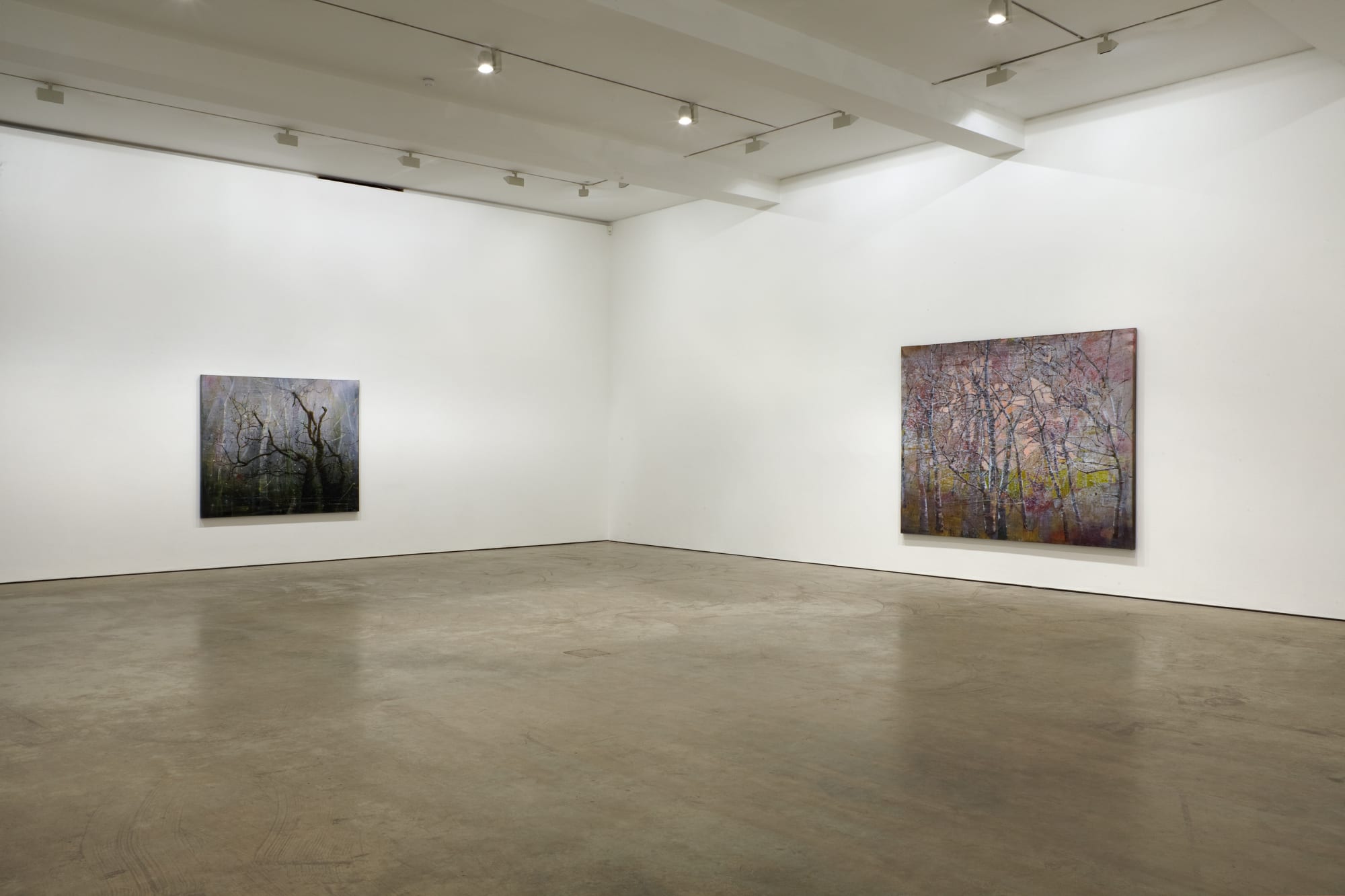 ELIZABETH MAGILL - Quasi-Real & Branch-Like