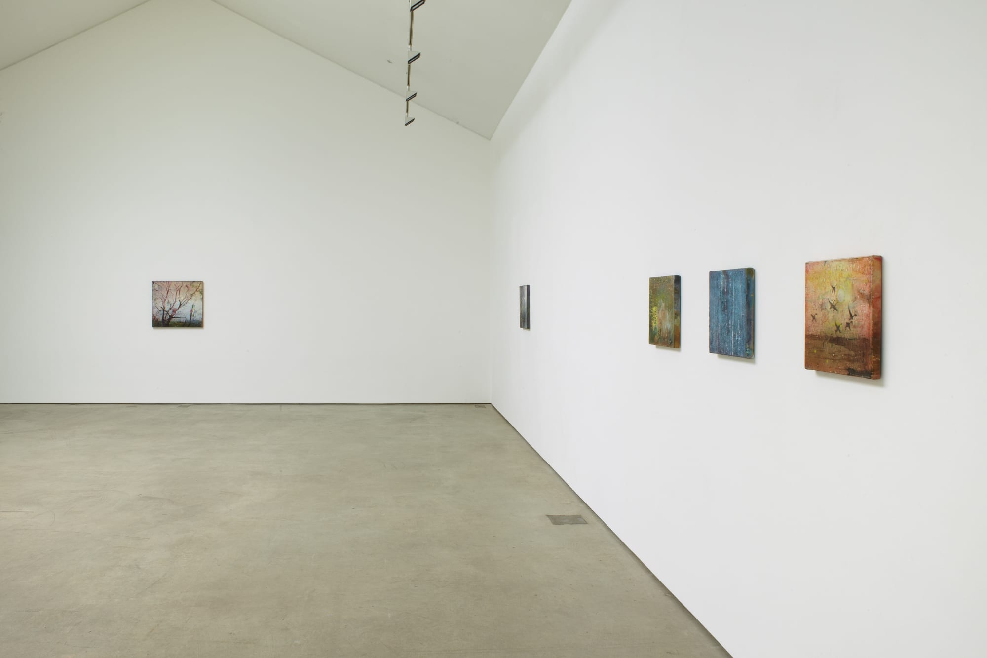 ELIZABETH MAGILL - Quasi-Real & Branch-Like