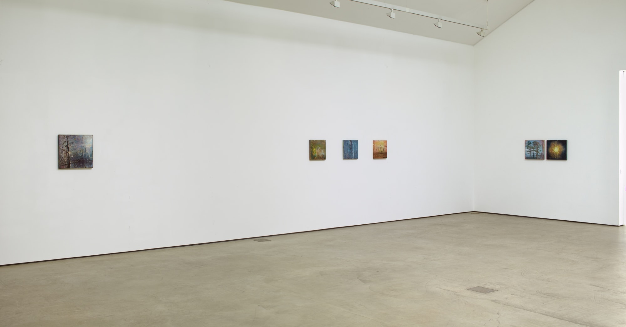 ELIZABETH MAGILL - Quasi-Real & Branch-Like