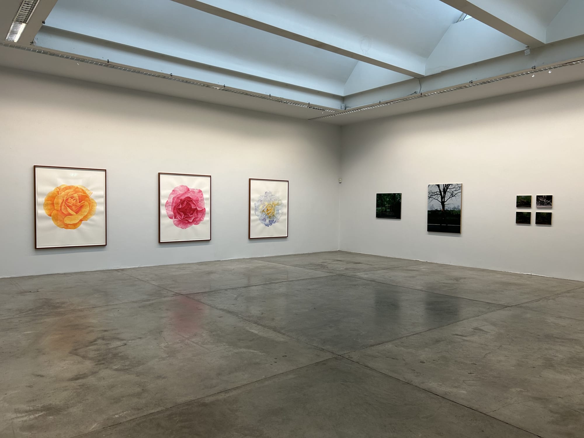 GEORGE SHAW - NOTHING STRANGE OR STARTLING